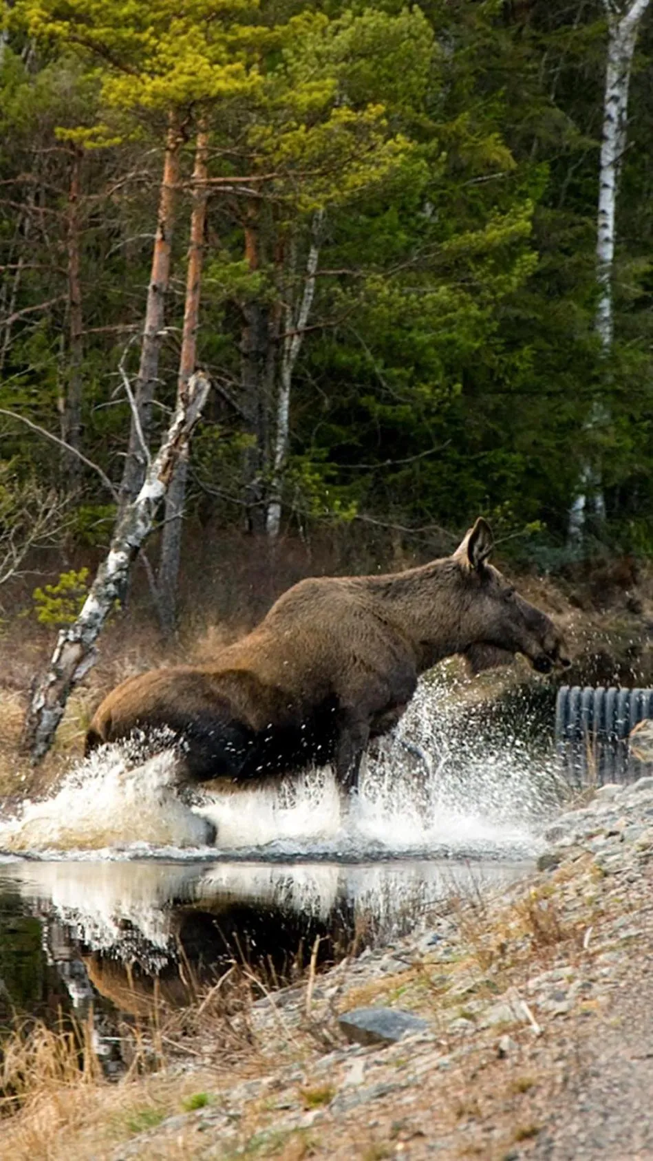 Natural landscape in Évika boutique hotel