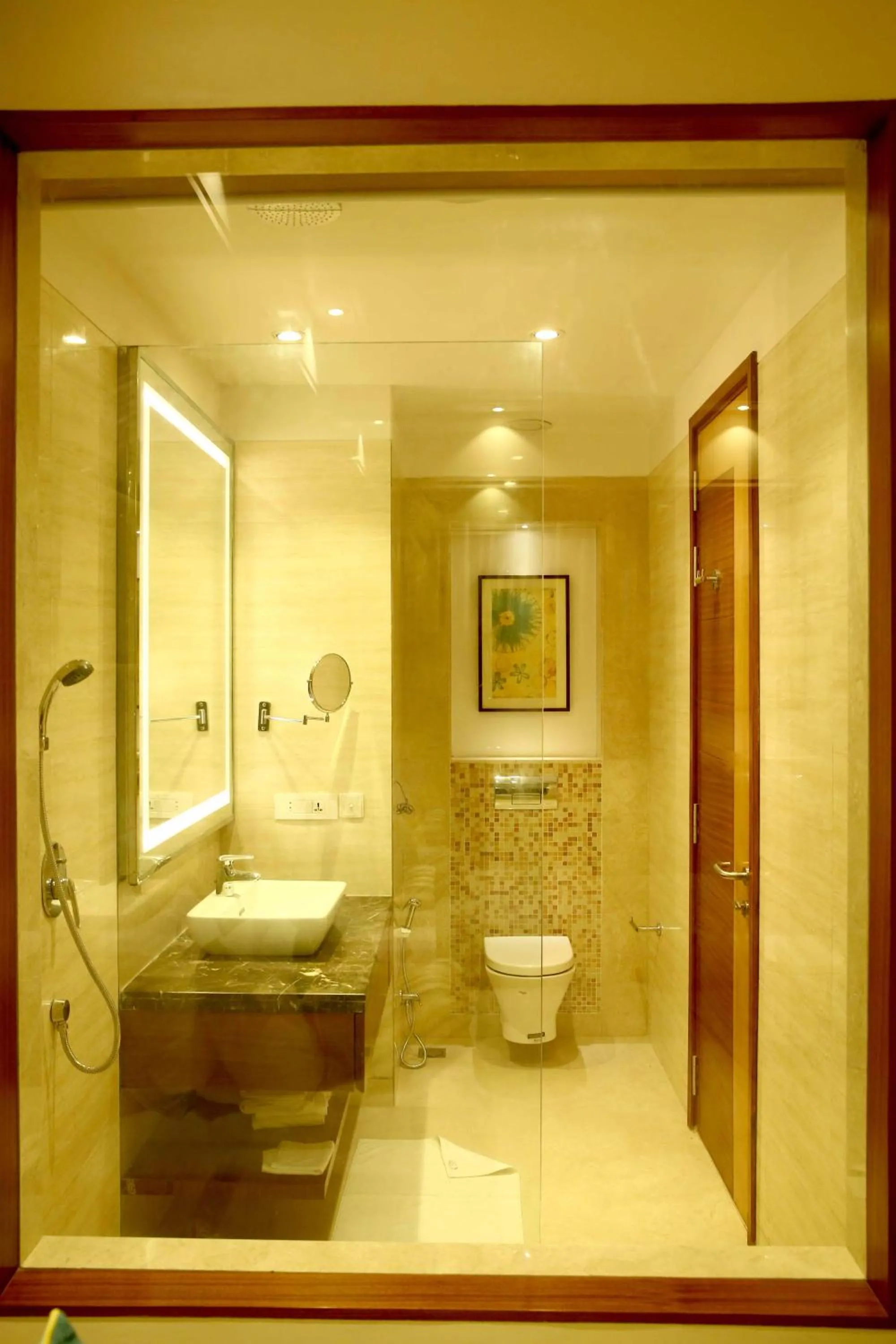 Shower in The P L Palace Agra