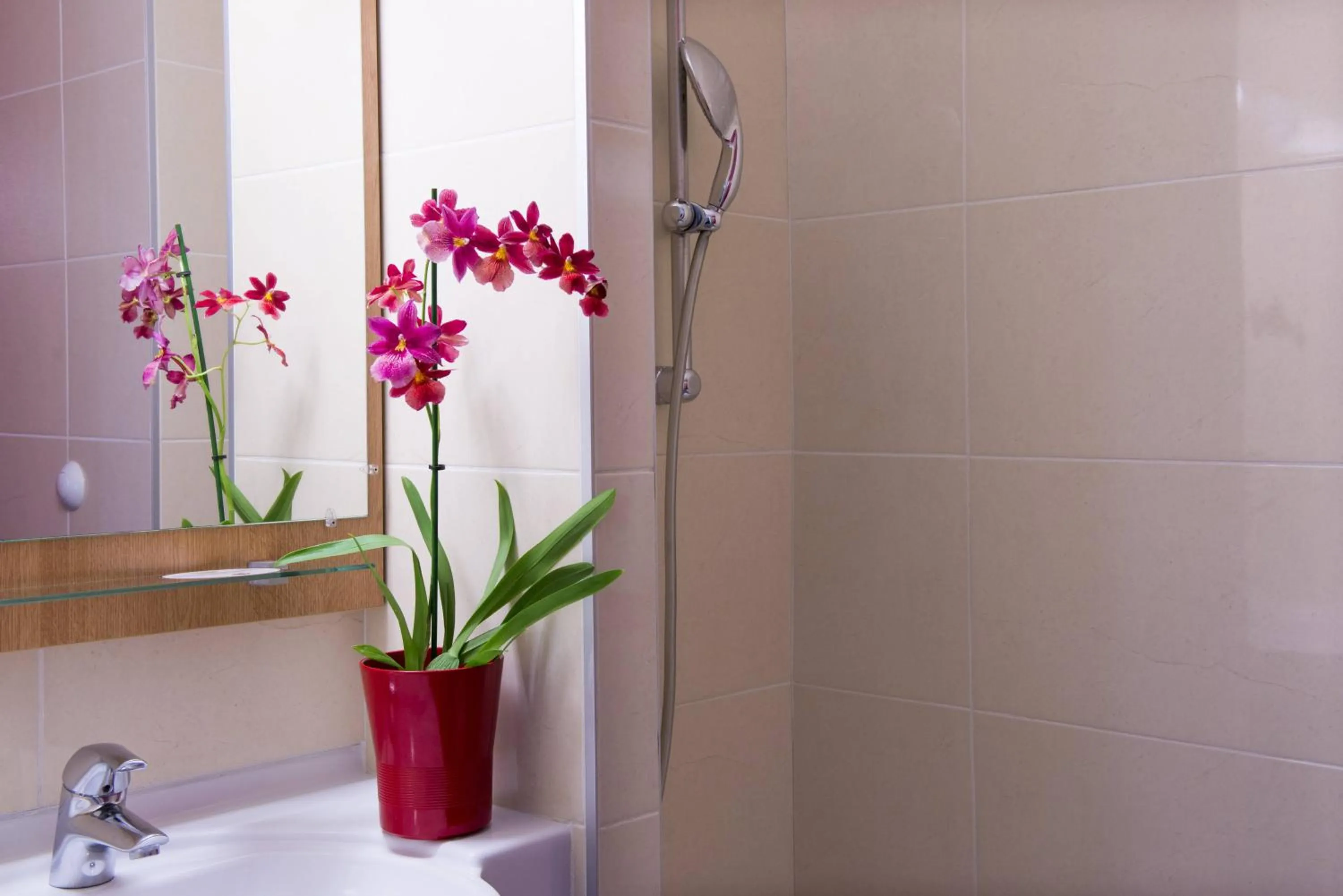 Double Room - Disability Access in B&B HOTEL La Rochelle Centre