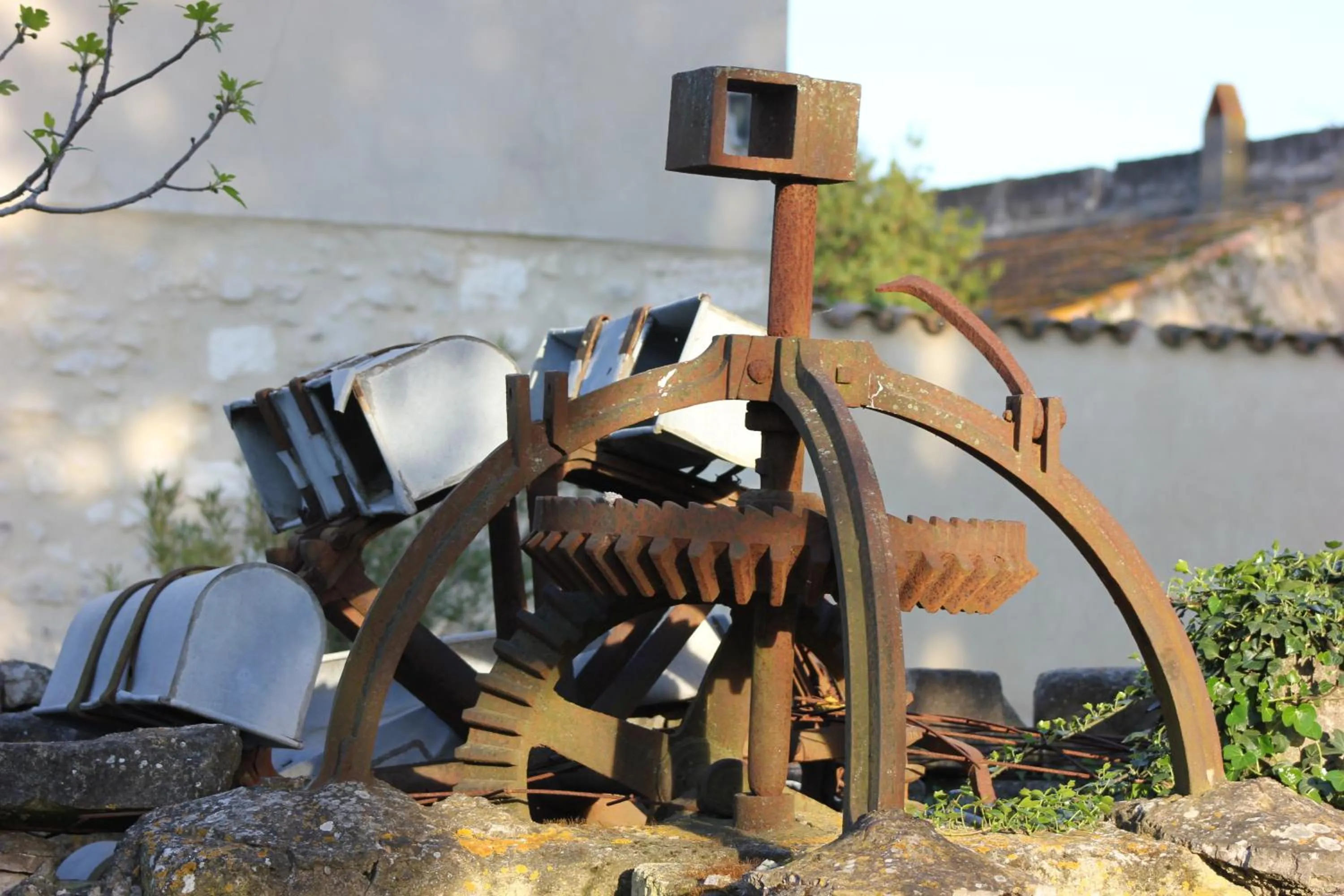 Garden in Chambres d'hôtes Mas Petit Prince