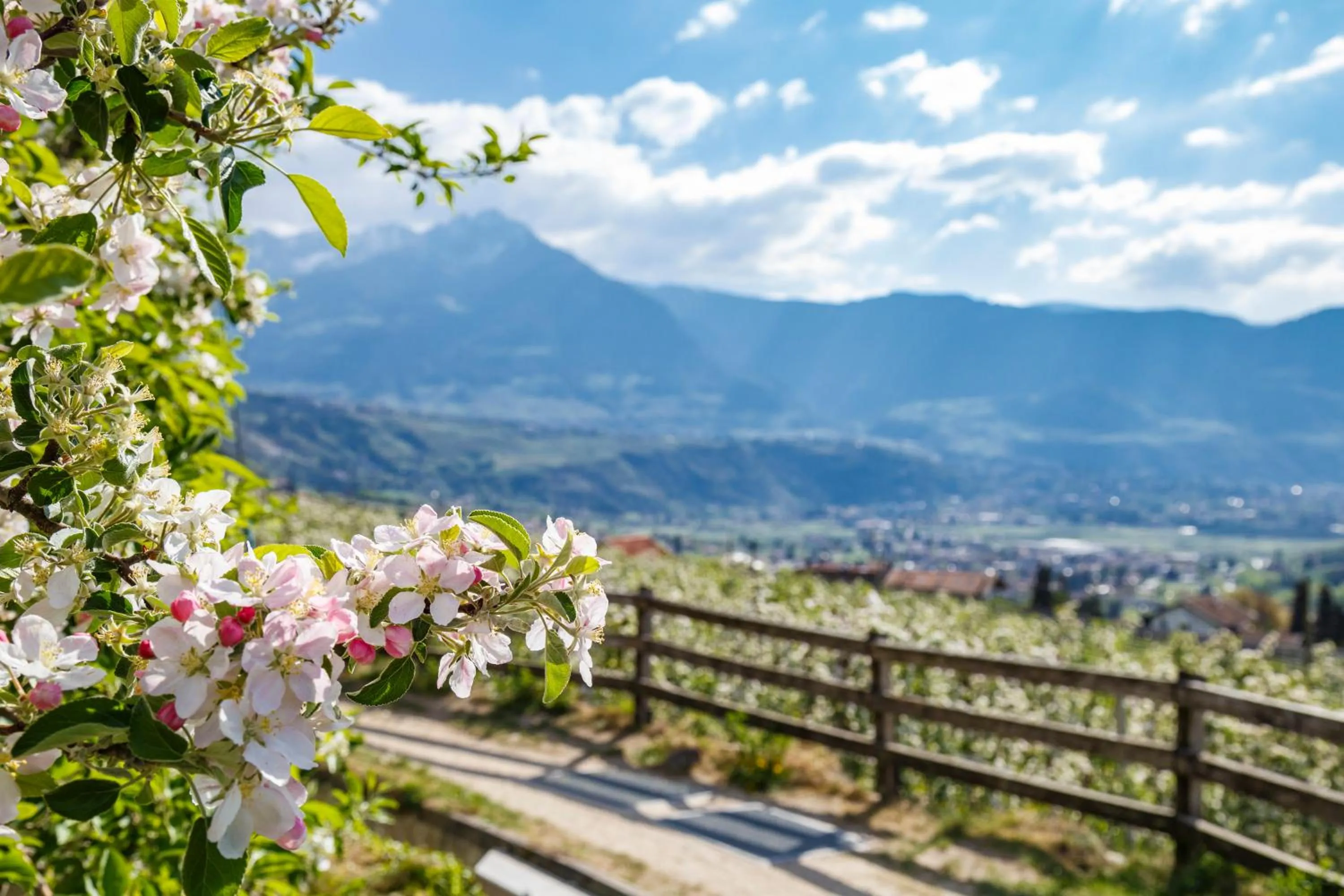 Natural landscape in FAYN garden retreat hotel