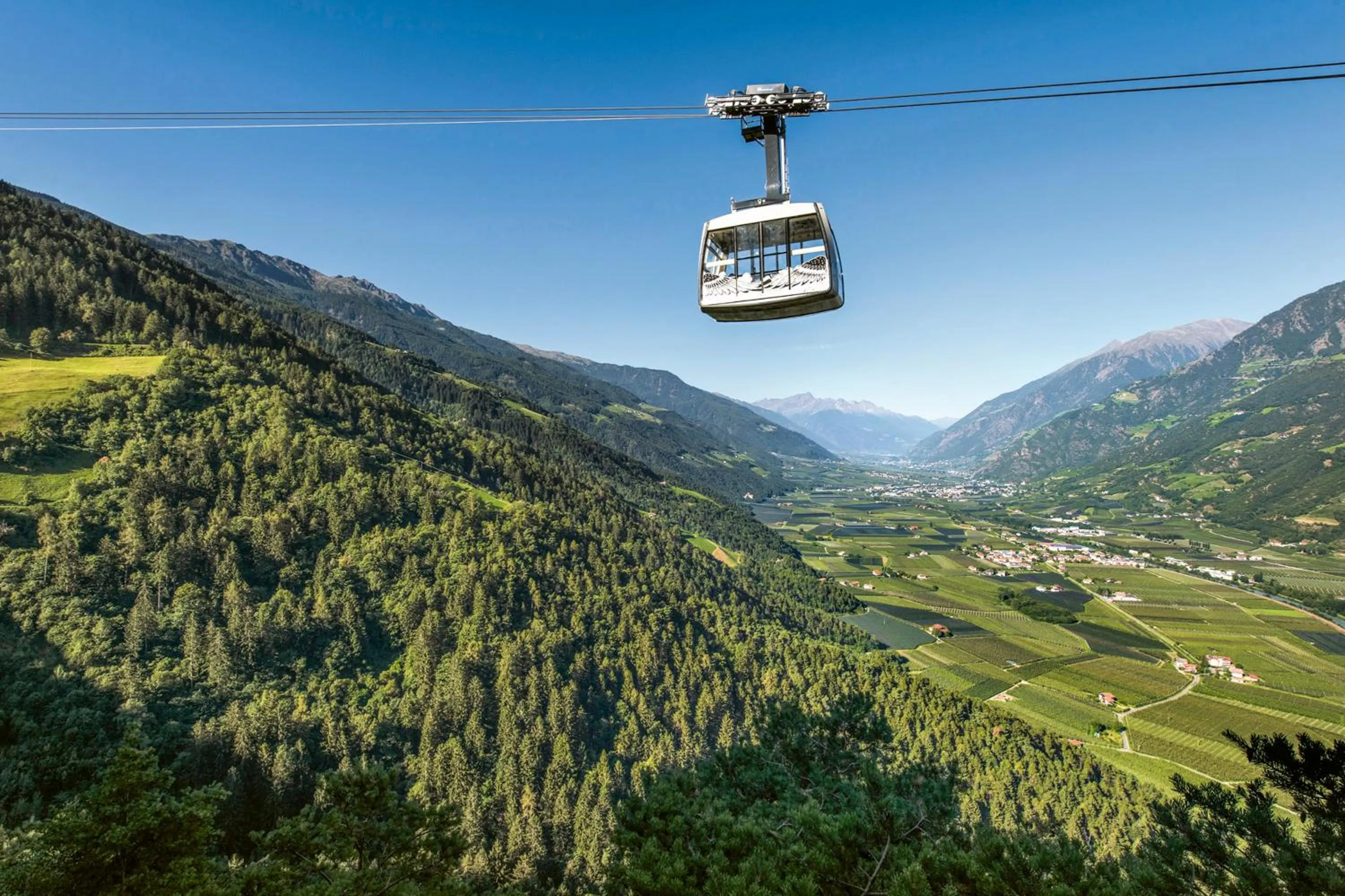 Natural landscape in FAYN garden retreat hotel