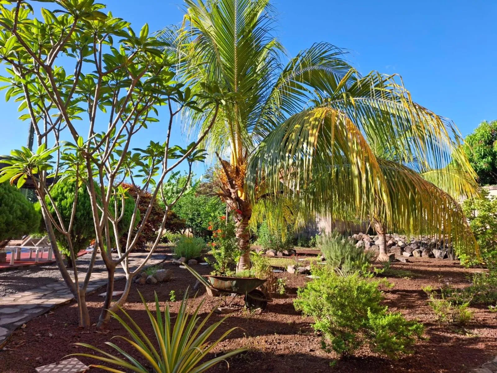 Garden in Hotel Jardín Garden de Granada Nicaragua