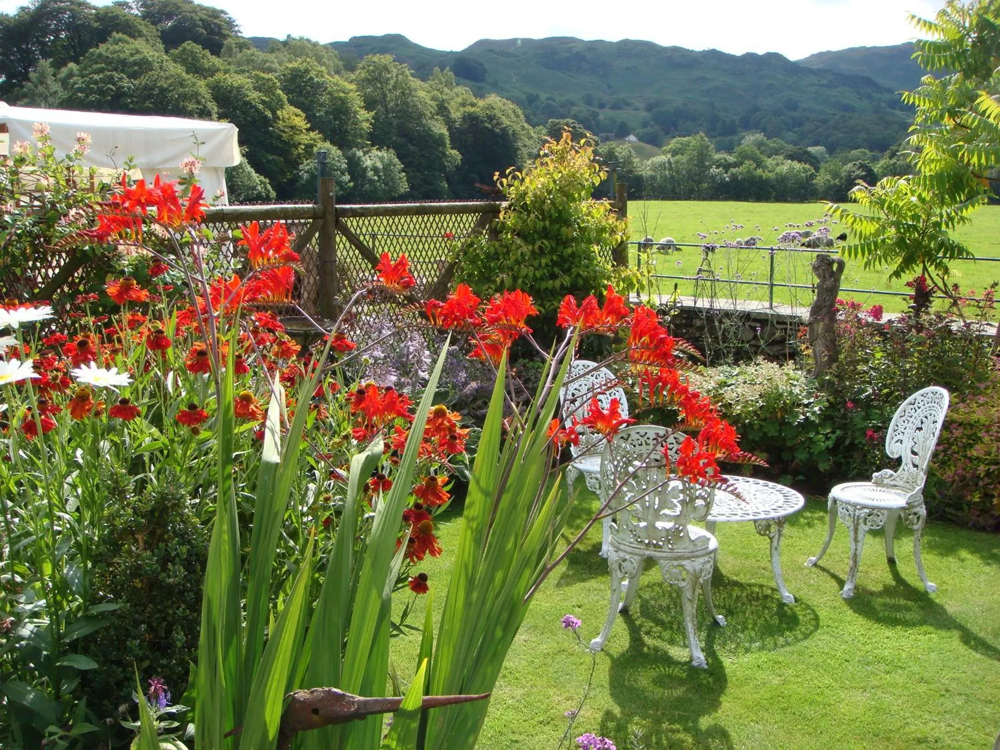 Garden in Raise View House