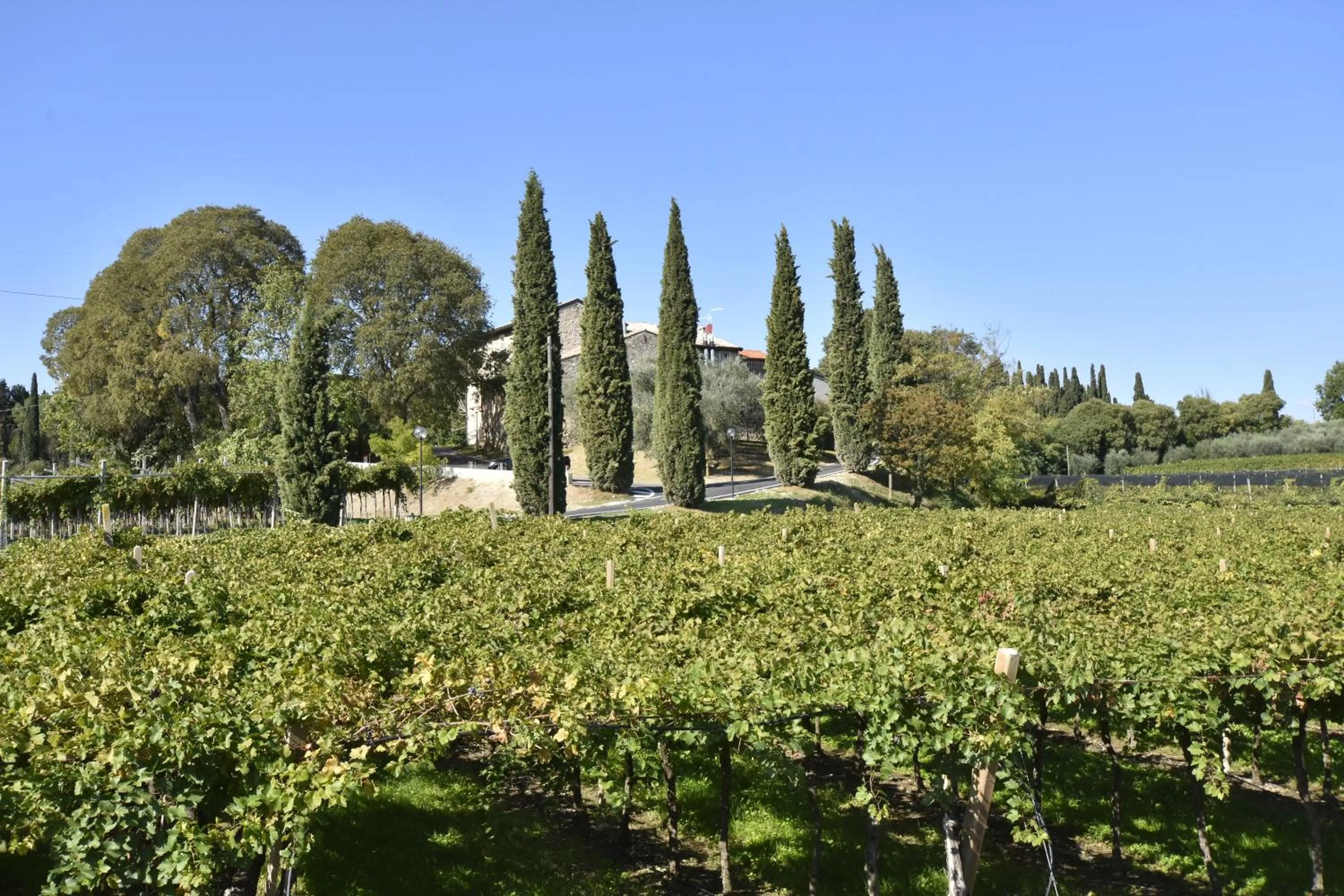 Natural landscape in Le Palazzole