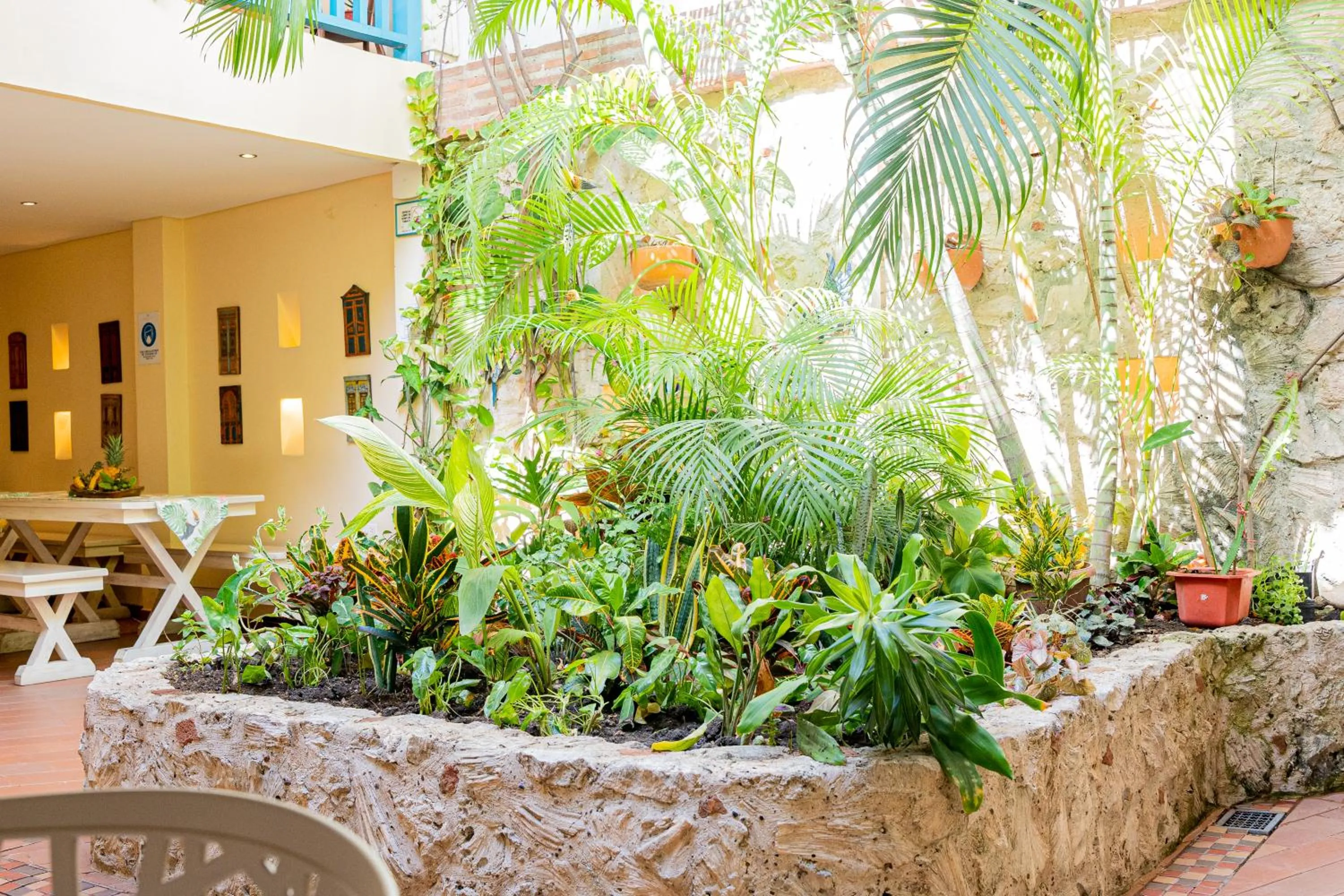 Garden in Posada La Fe