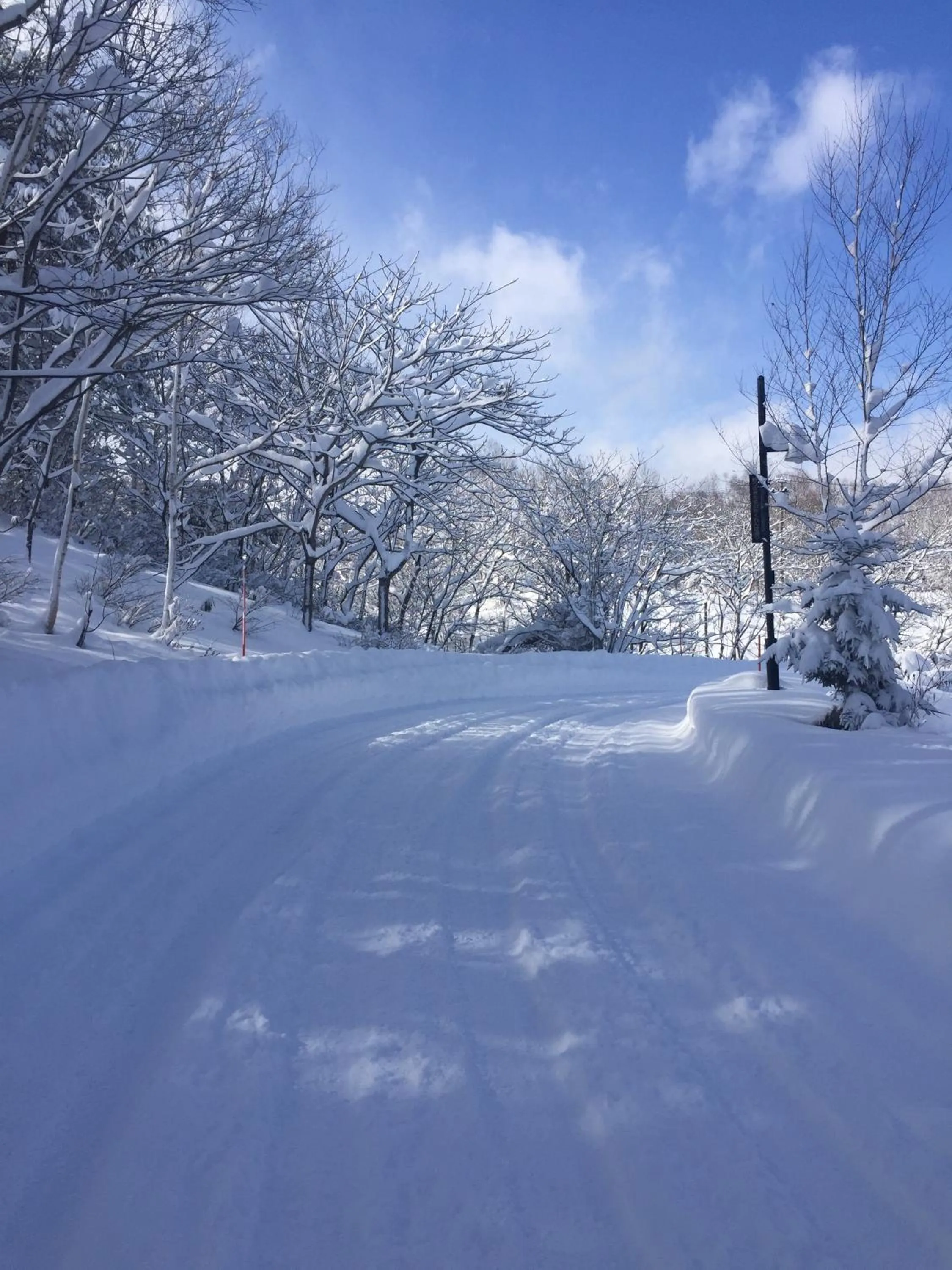 Street view in White Rose Inn