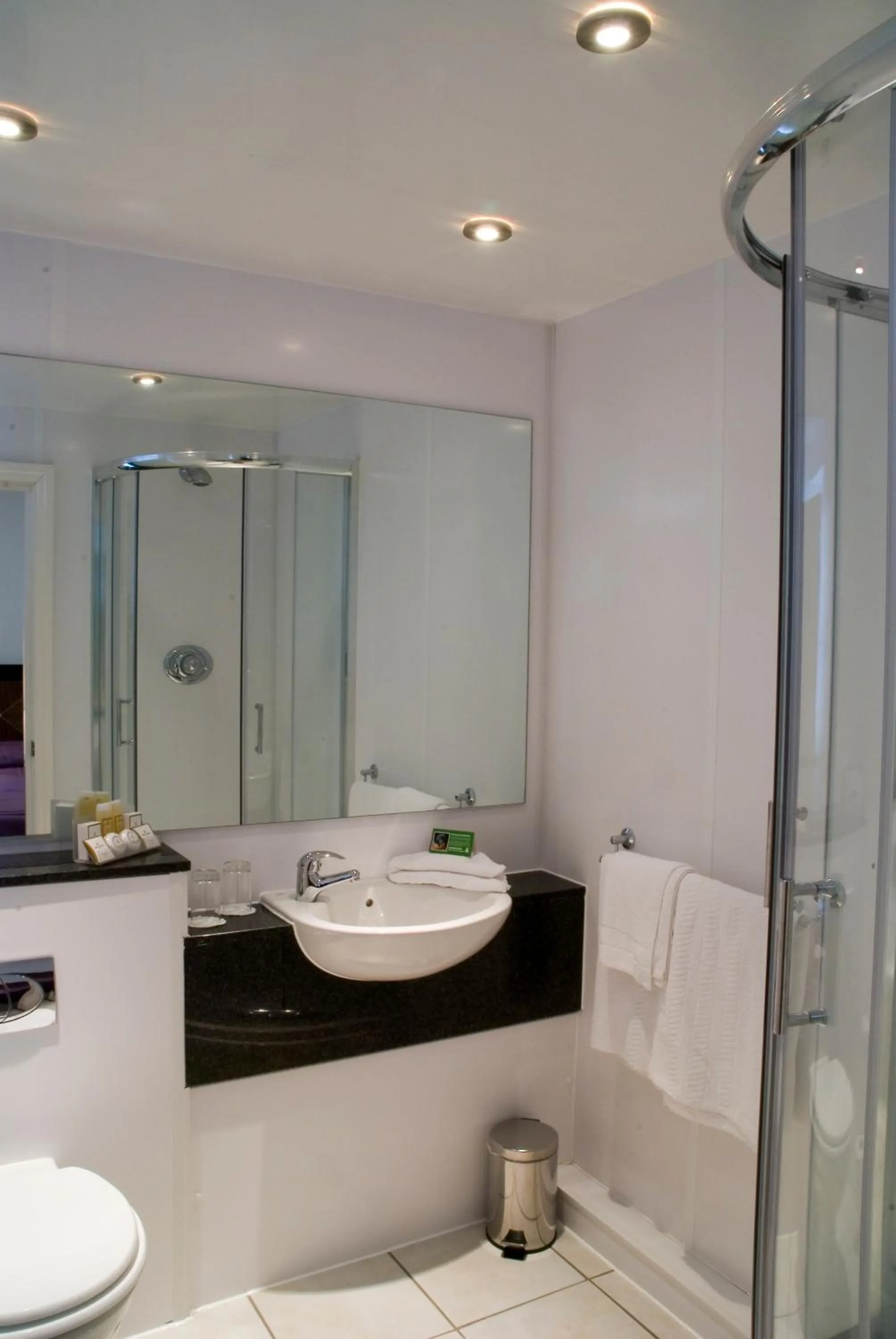 Bathroom in Britannia Country House Hotel