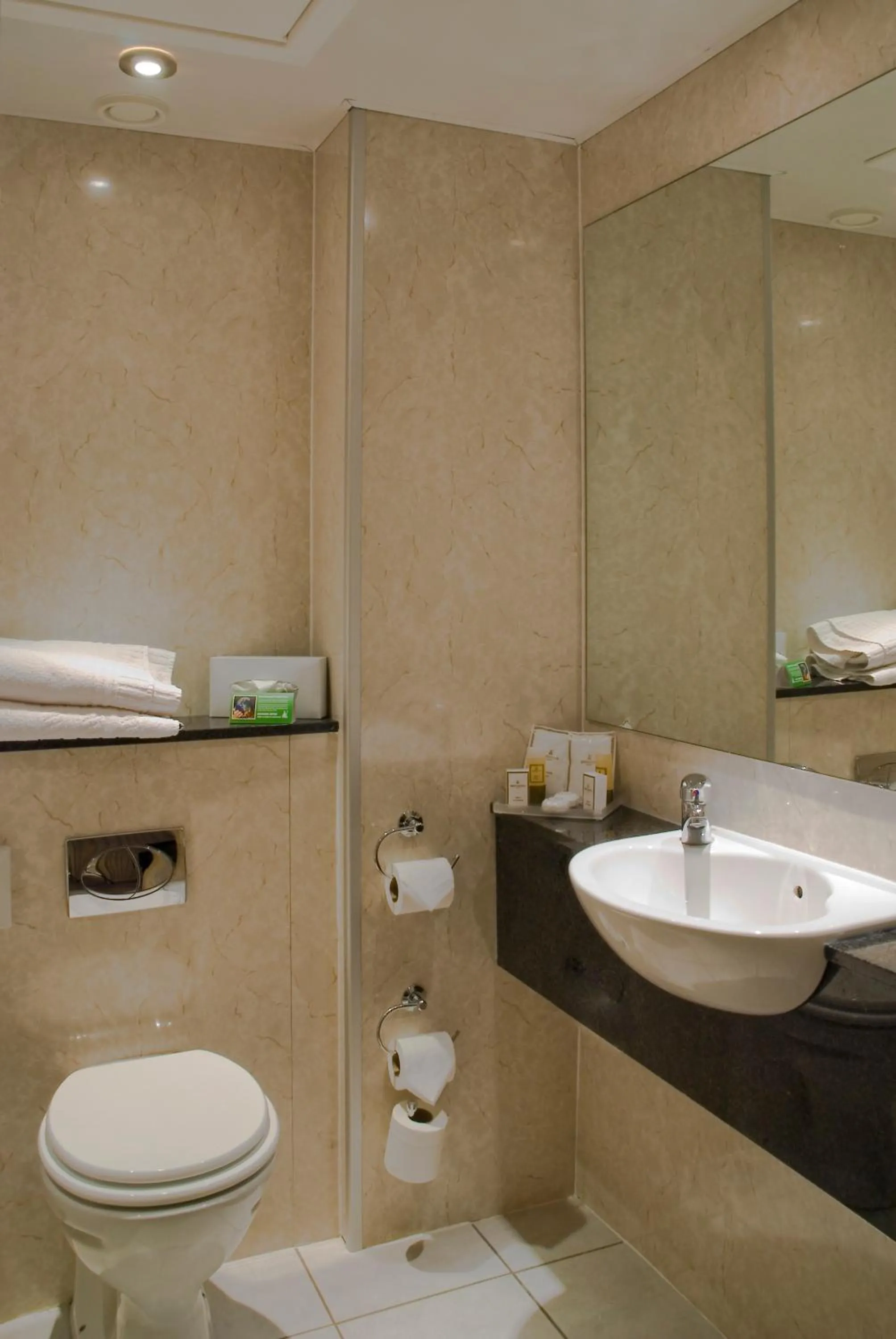 Bathroom in Britannia Country House Hotel