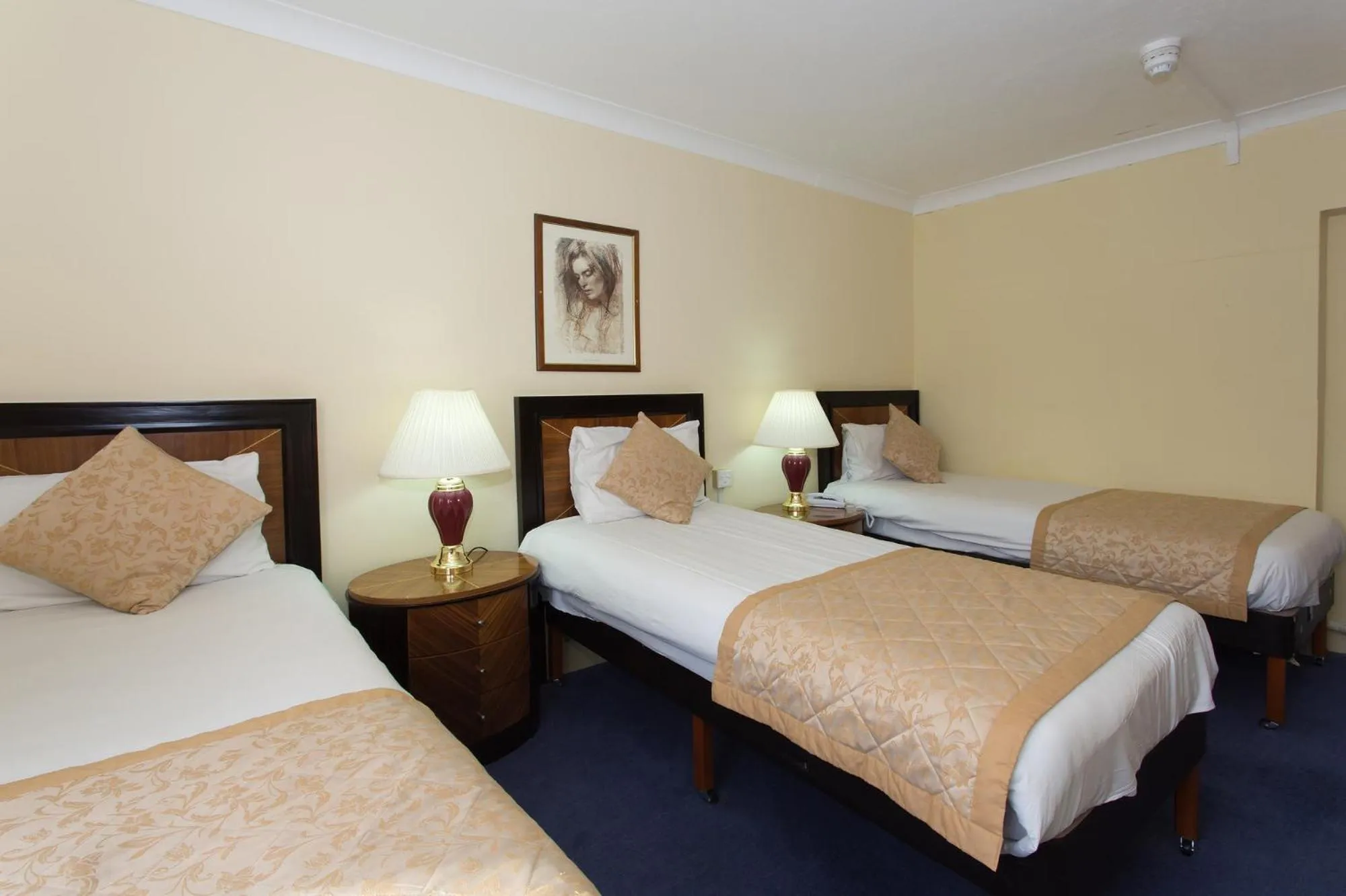 Bed in Britannia Country House Hotel