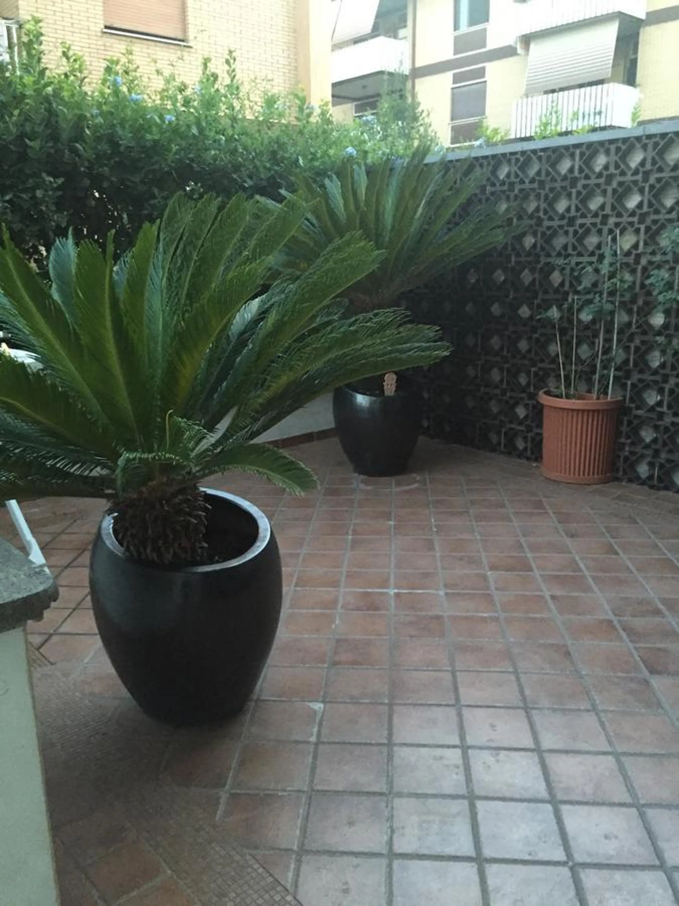 Property building in La Maison Blanche