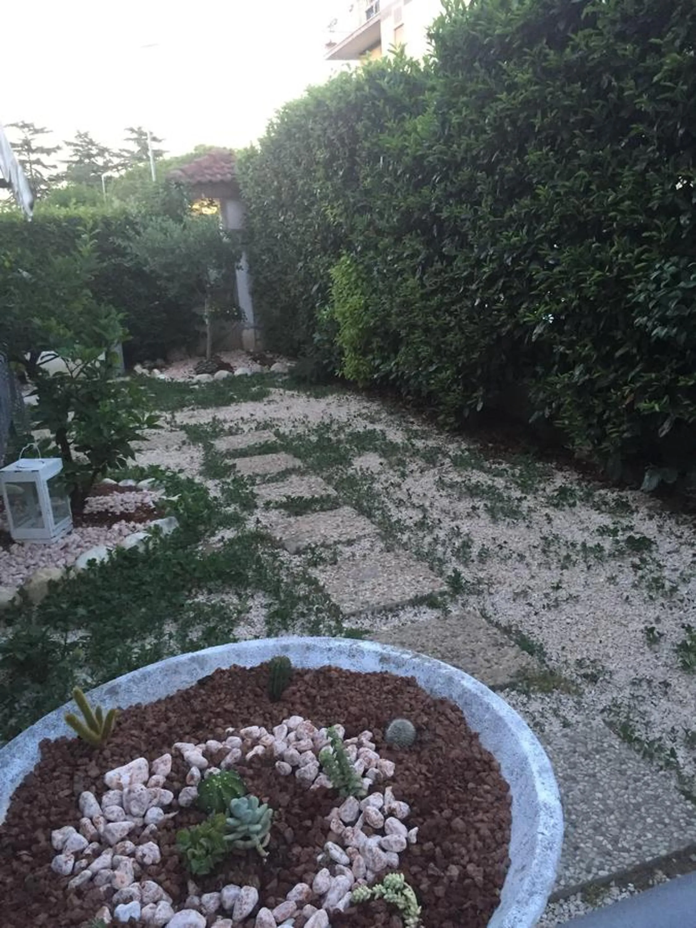 Garden in La Maison Blanche