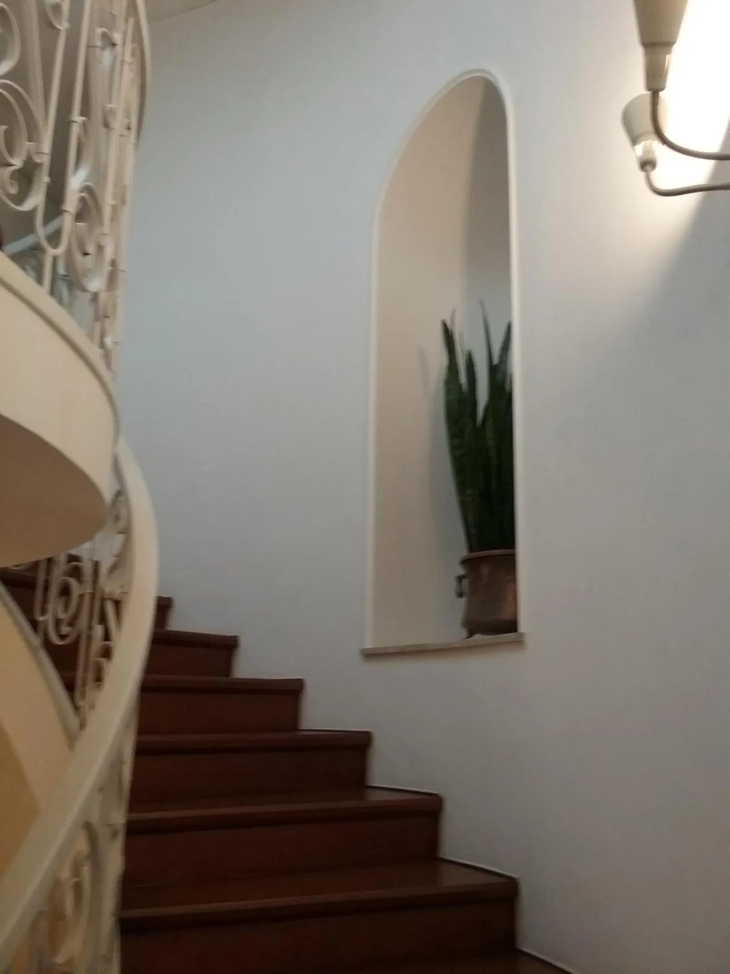 Decorative detail in B&B Barberia