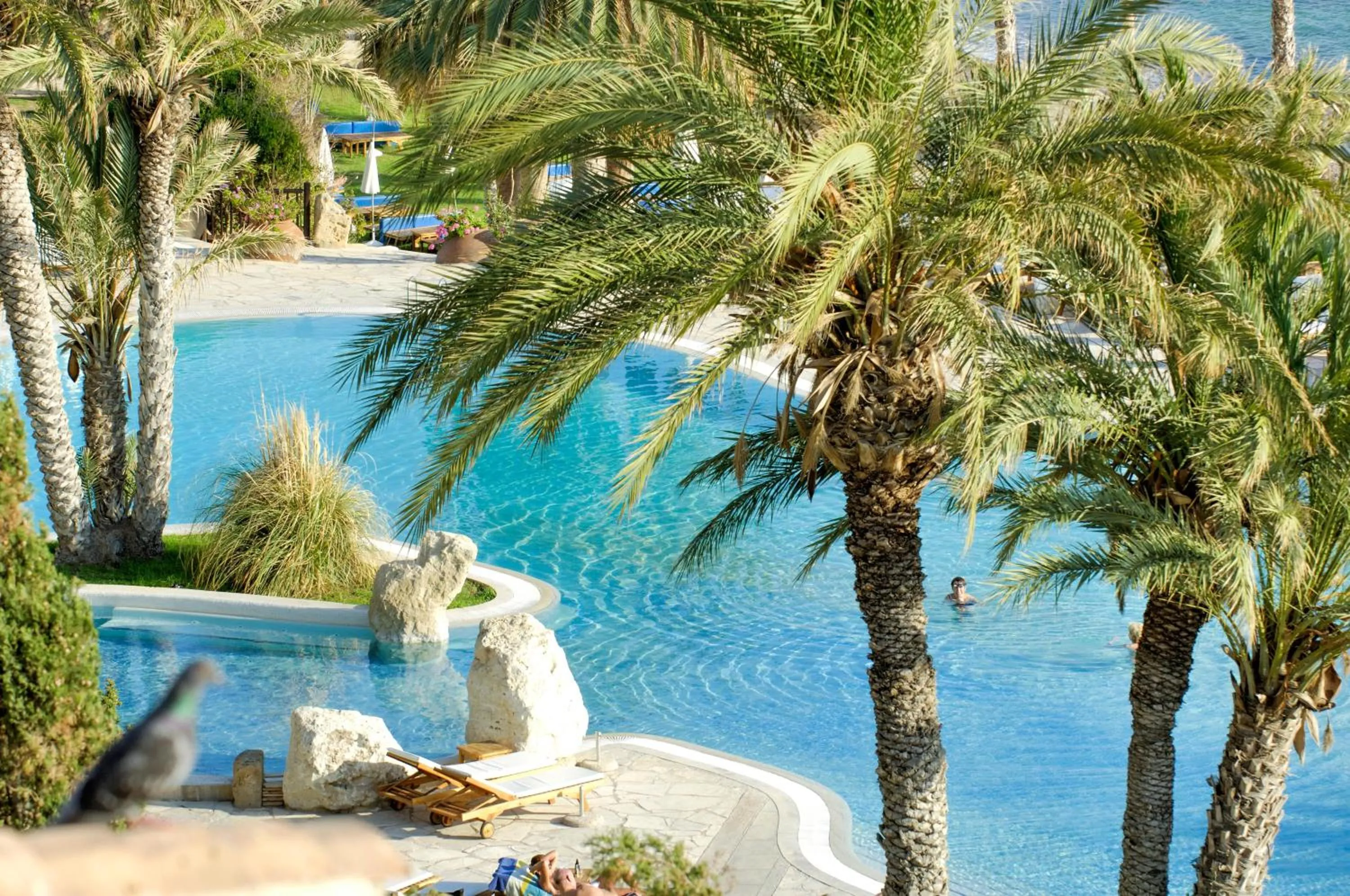 Swimming pool in Coral Beach Hotel & Resort Cyprus