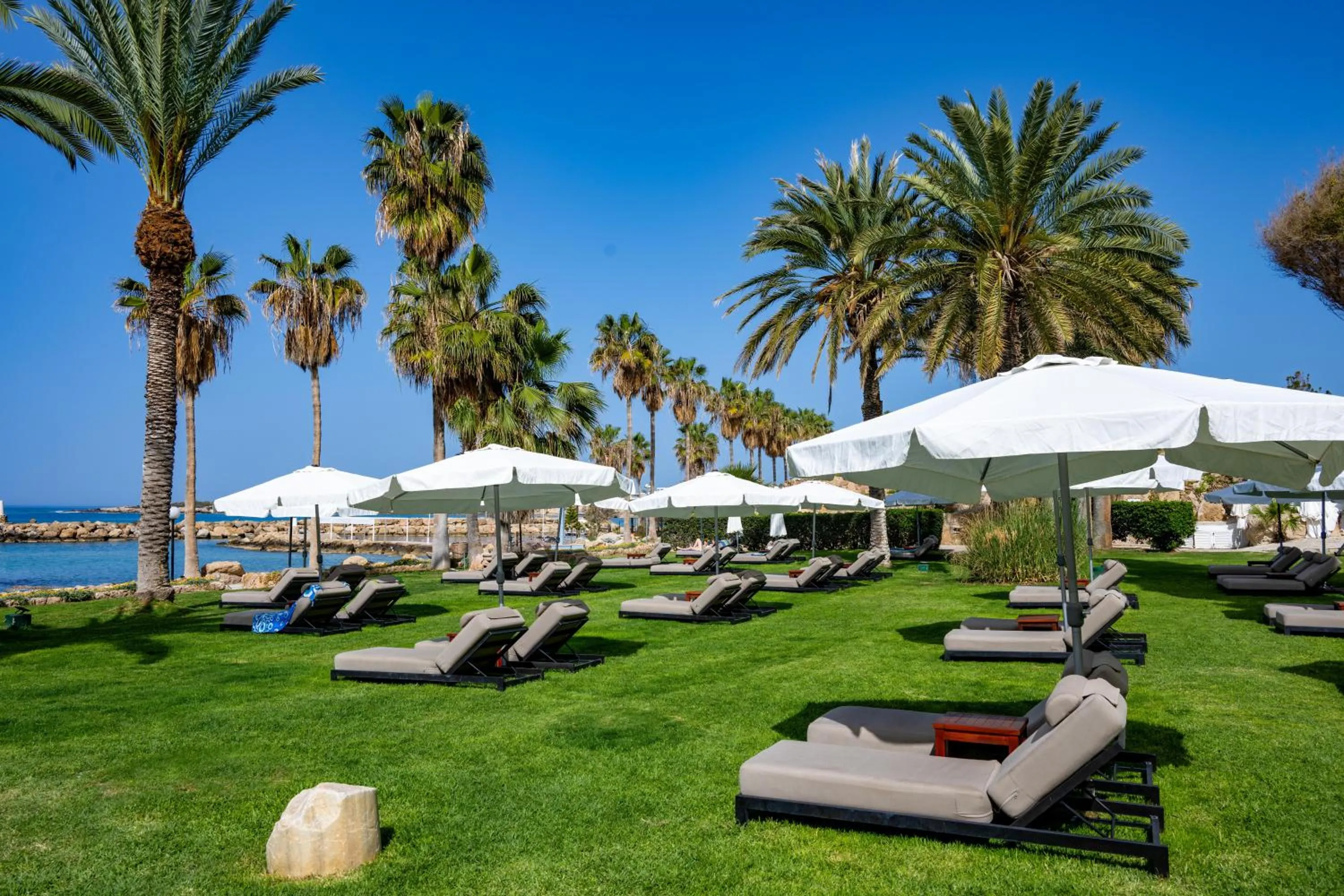 Garden in Coral Beach Hotel & Resort Cyprus