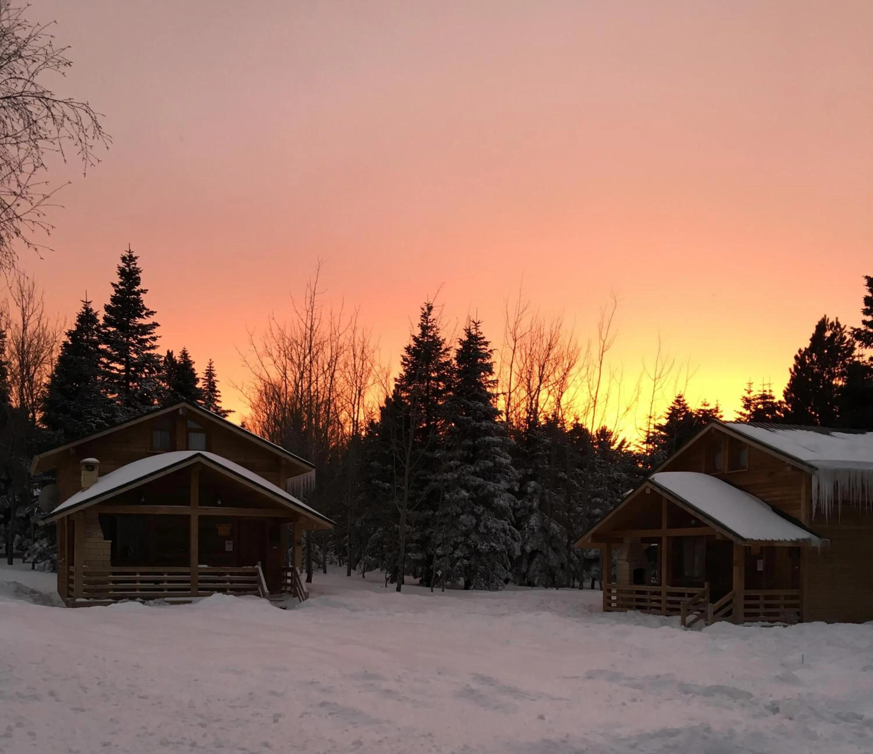 On site in Uludag Orman Koskleri