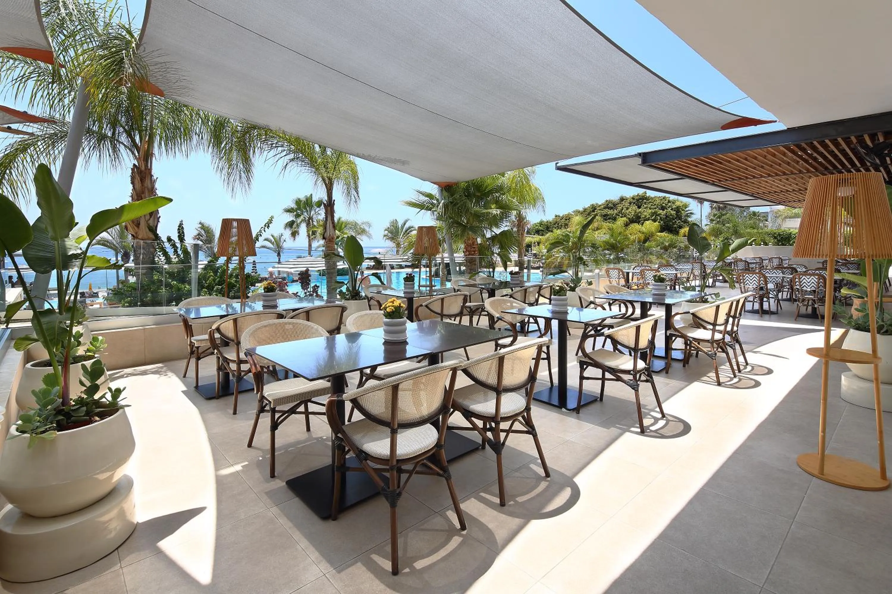 Lounge or bar in Royal Apollonia by Louis Hotels