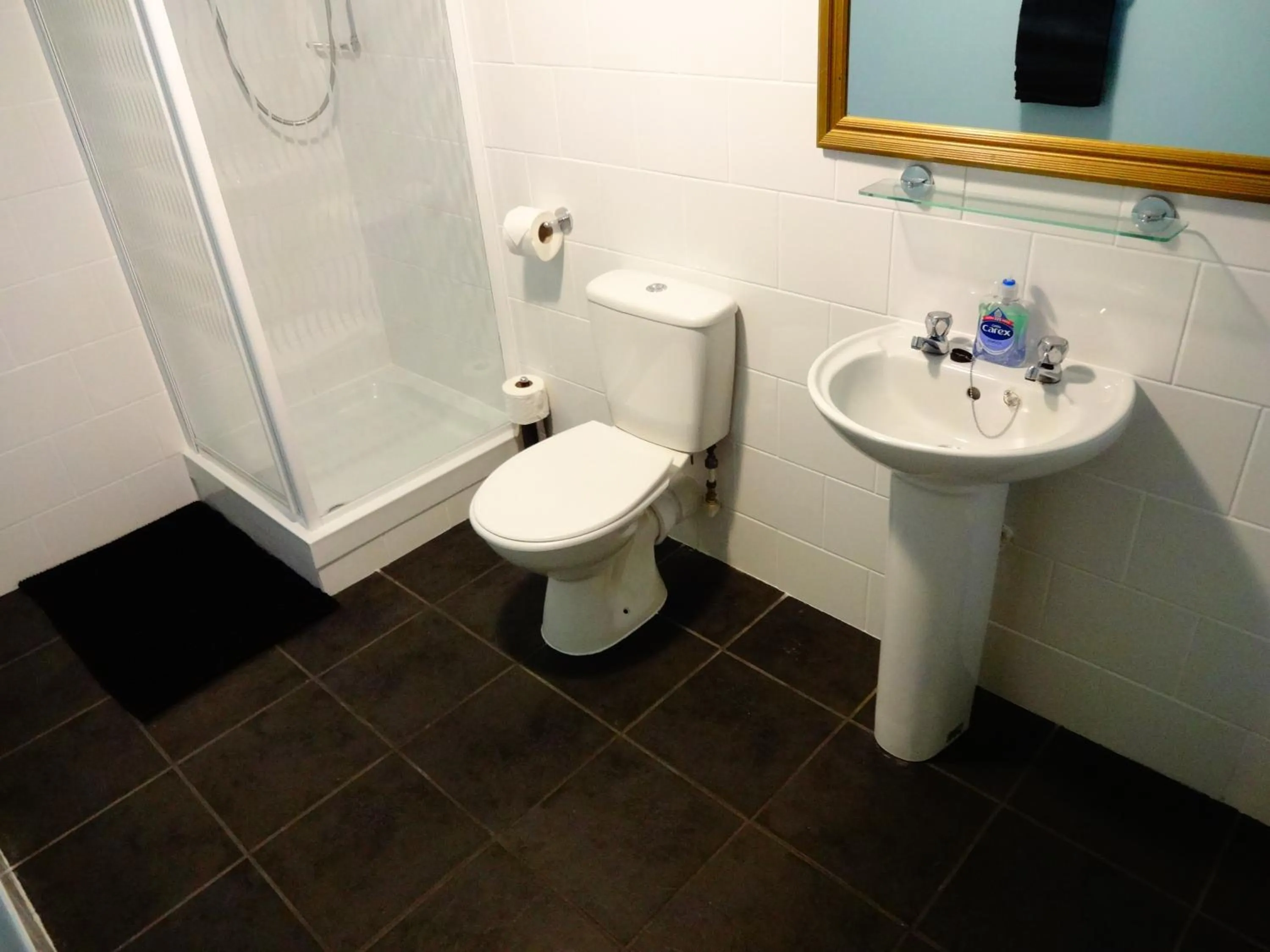 Bathroom in Travellers Rest Motel