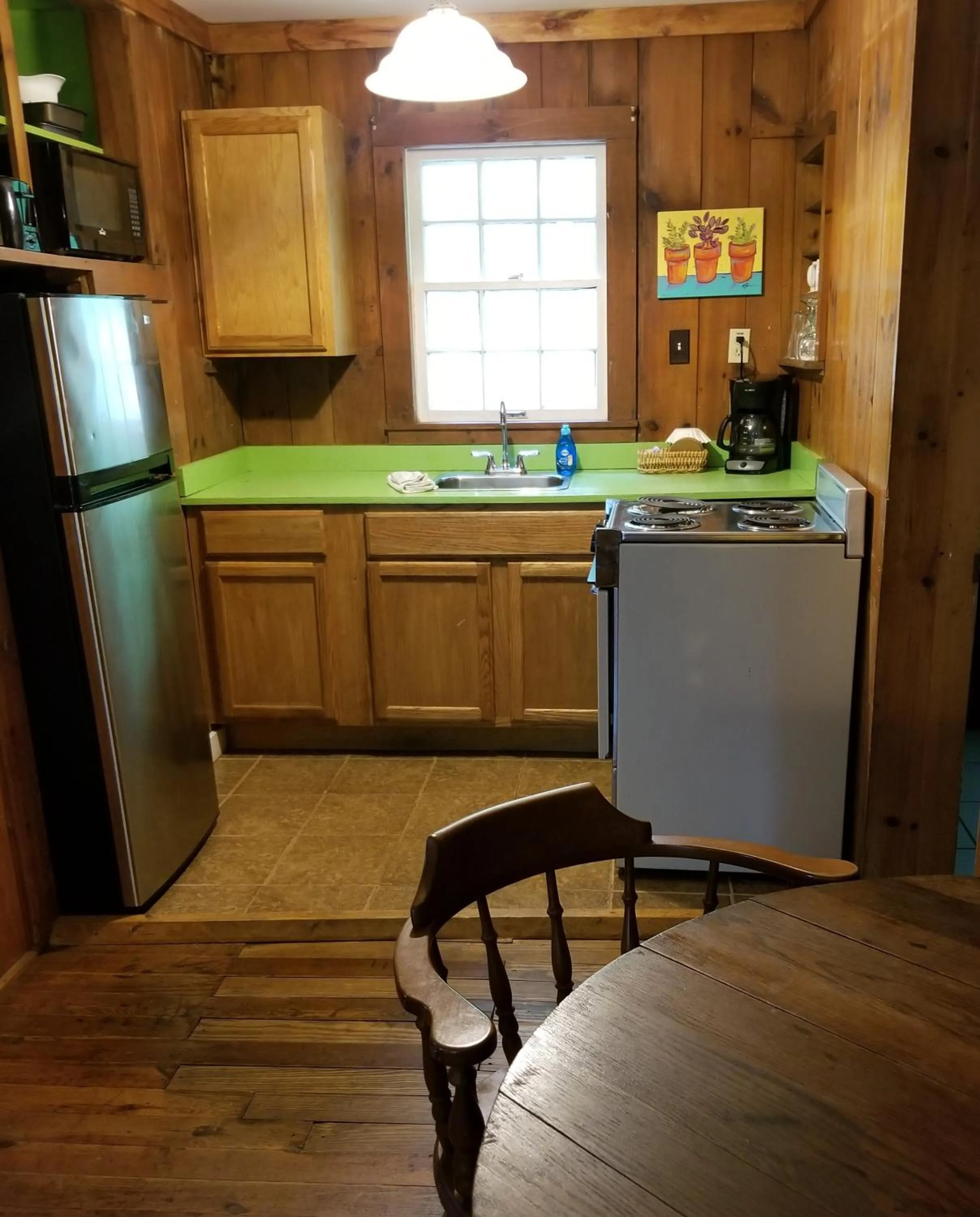 Kitchen or kitchenette in The Cabins at Healing Springs