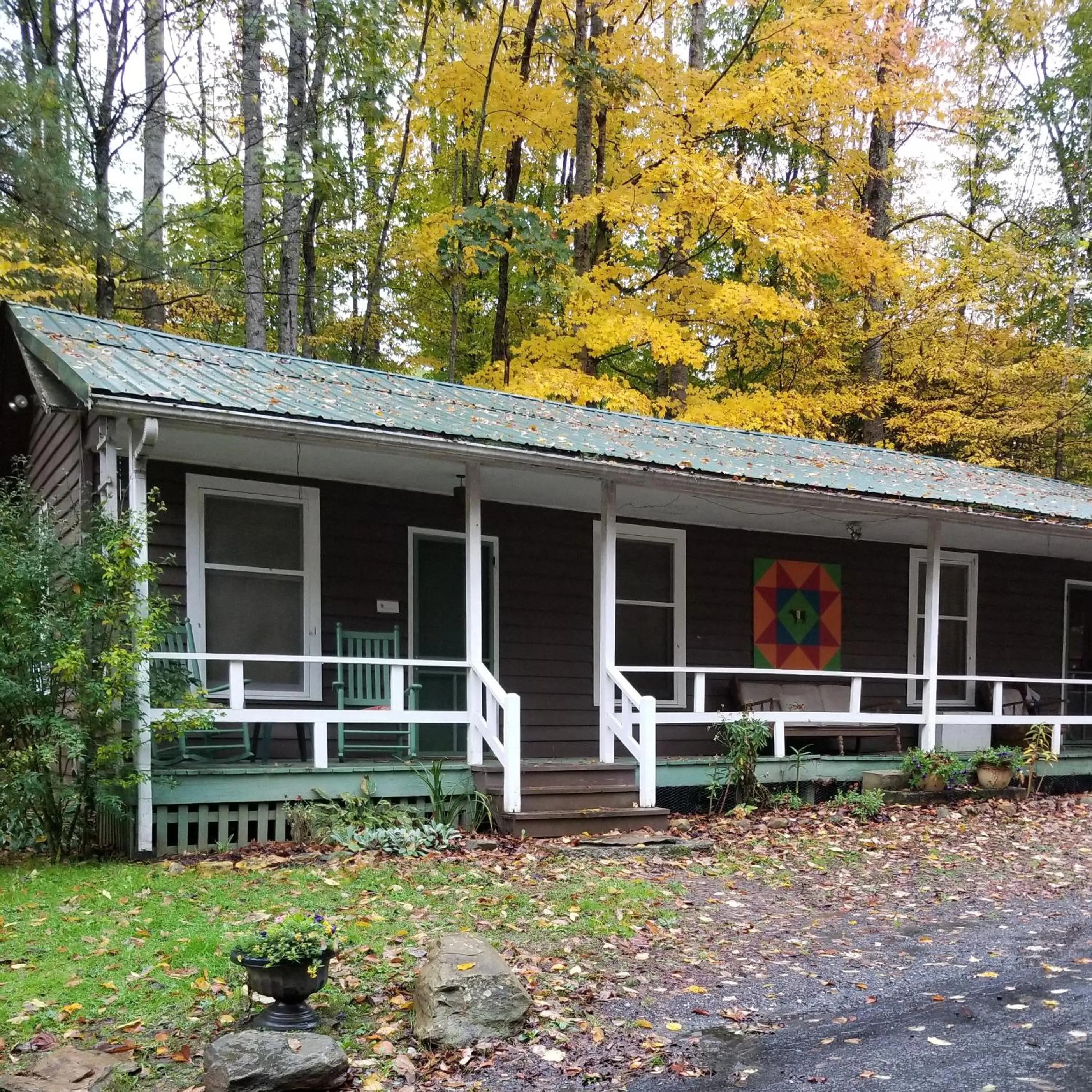 Quiet street view in The Cabins at Healing Springs