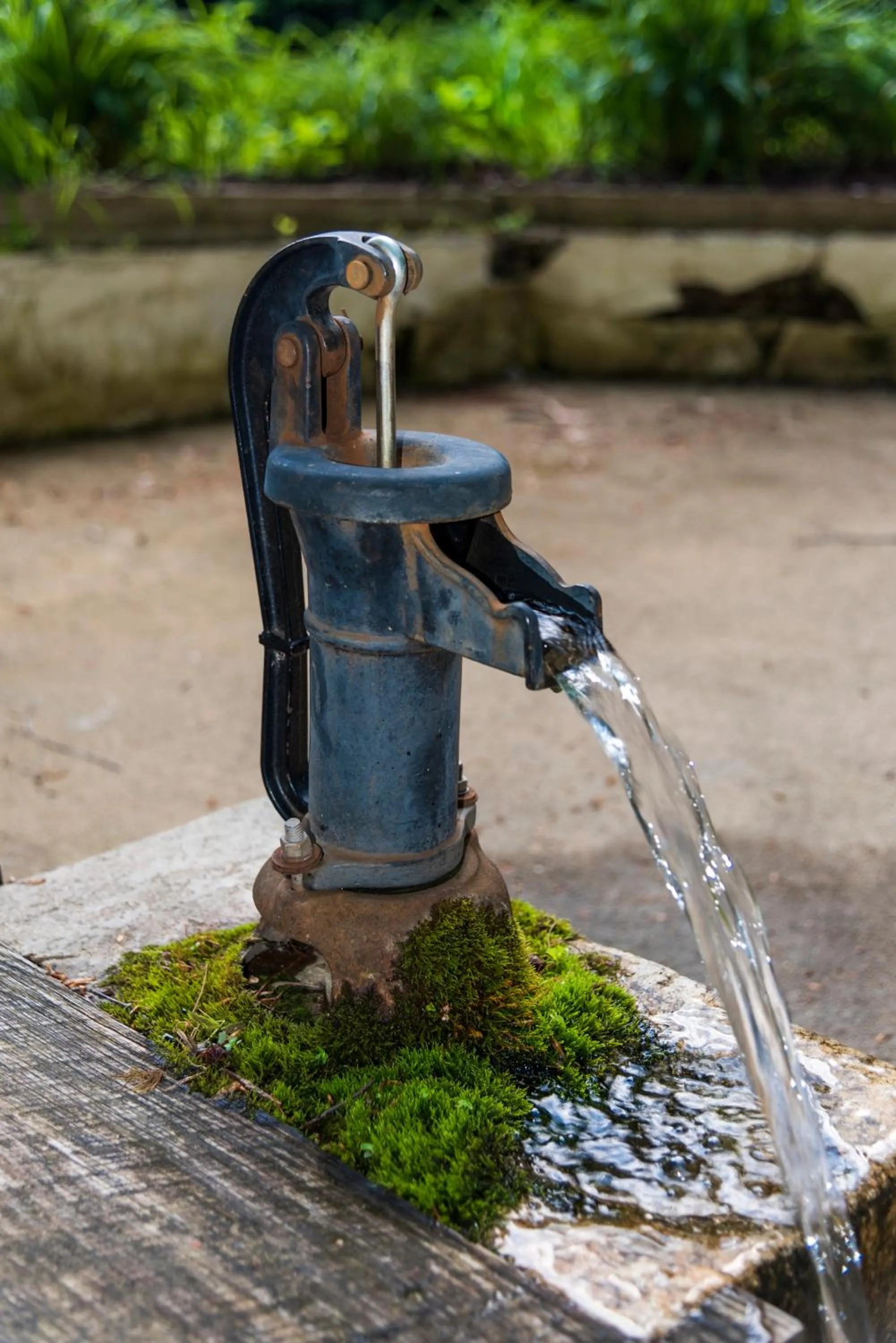 Activities in The Cabins at Healing Springs