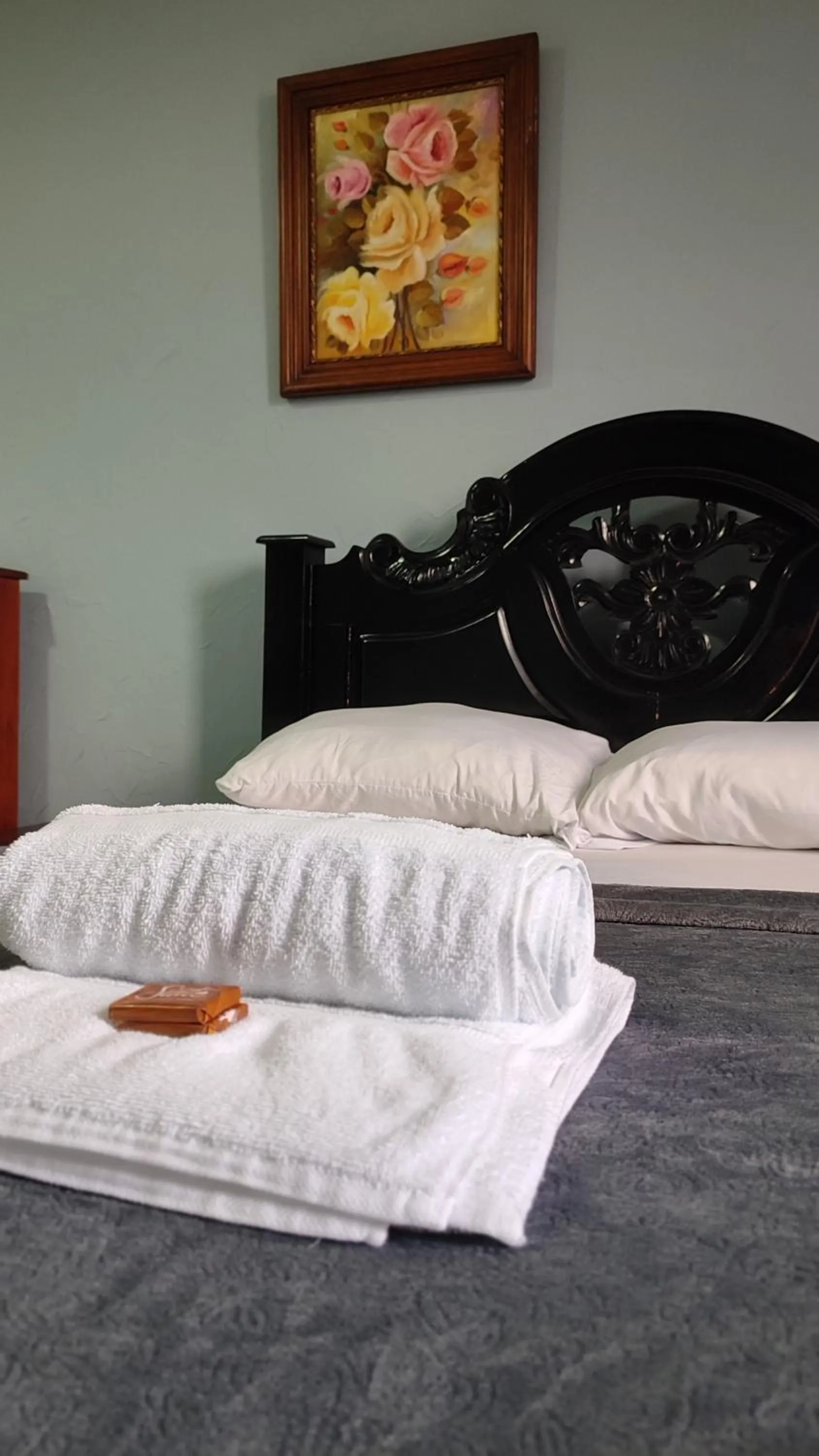 Bed in Hotel Dorado BAQ