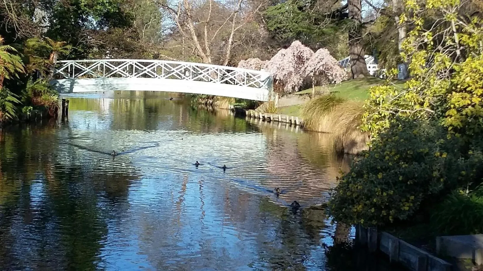 Neighbourhood in Jan's Boutique B & B Suite