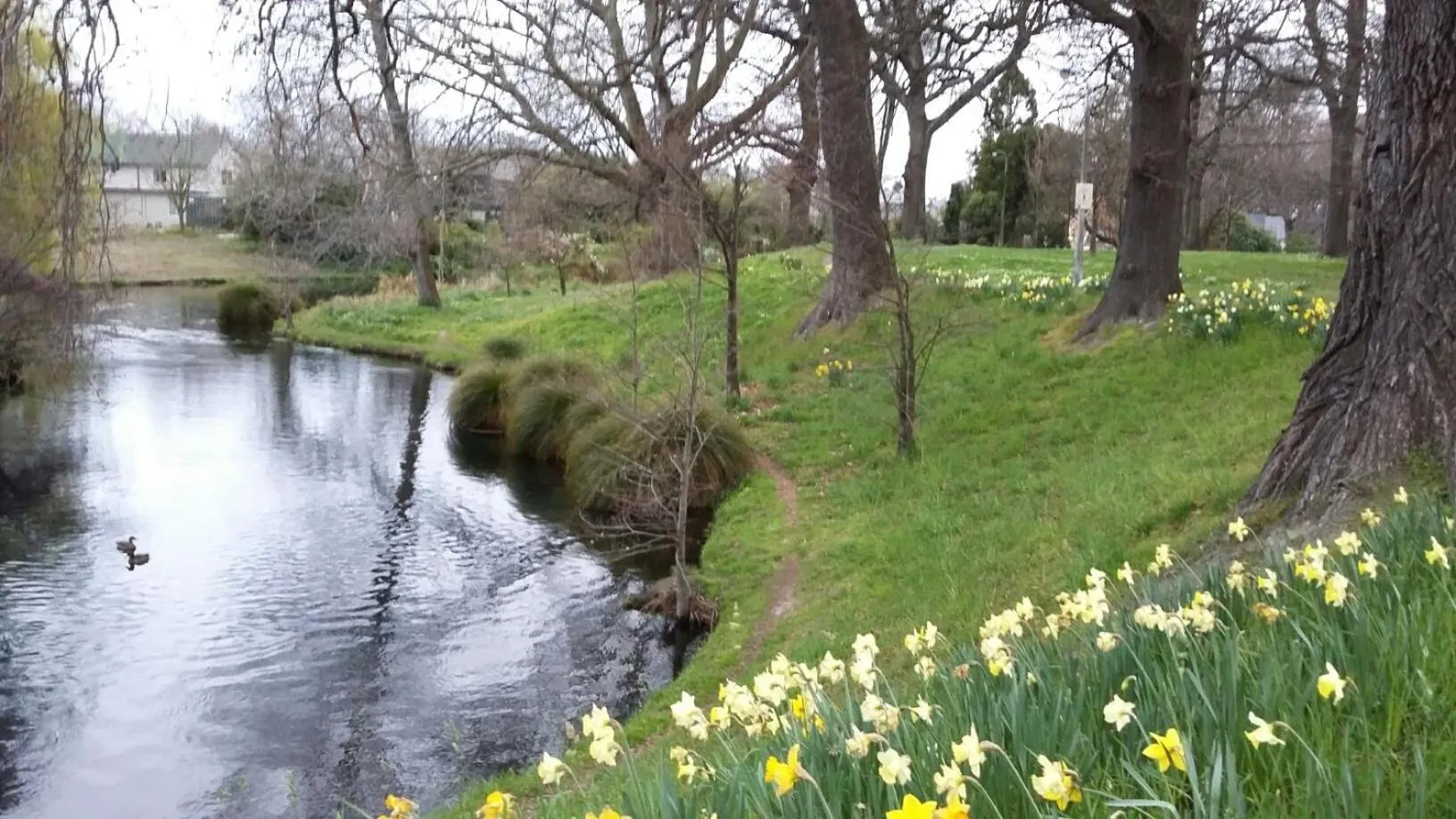 Nearby landmark in Jan's Boutique B & B Suite