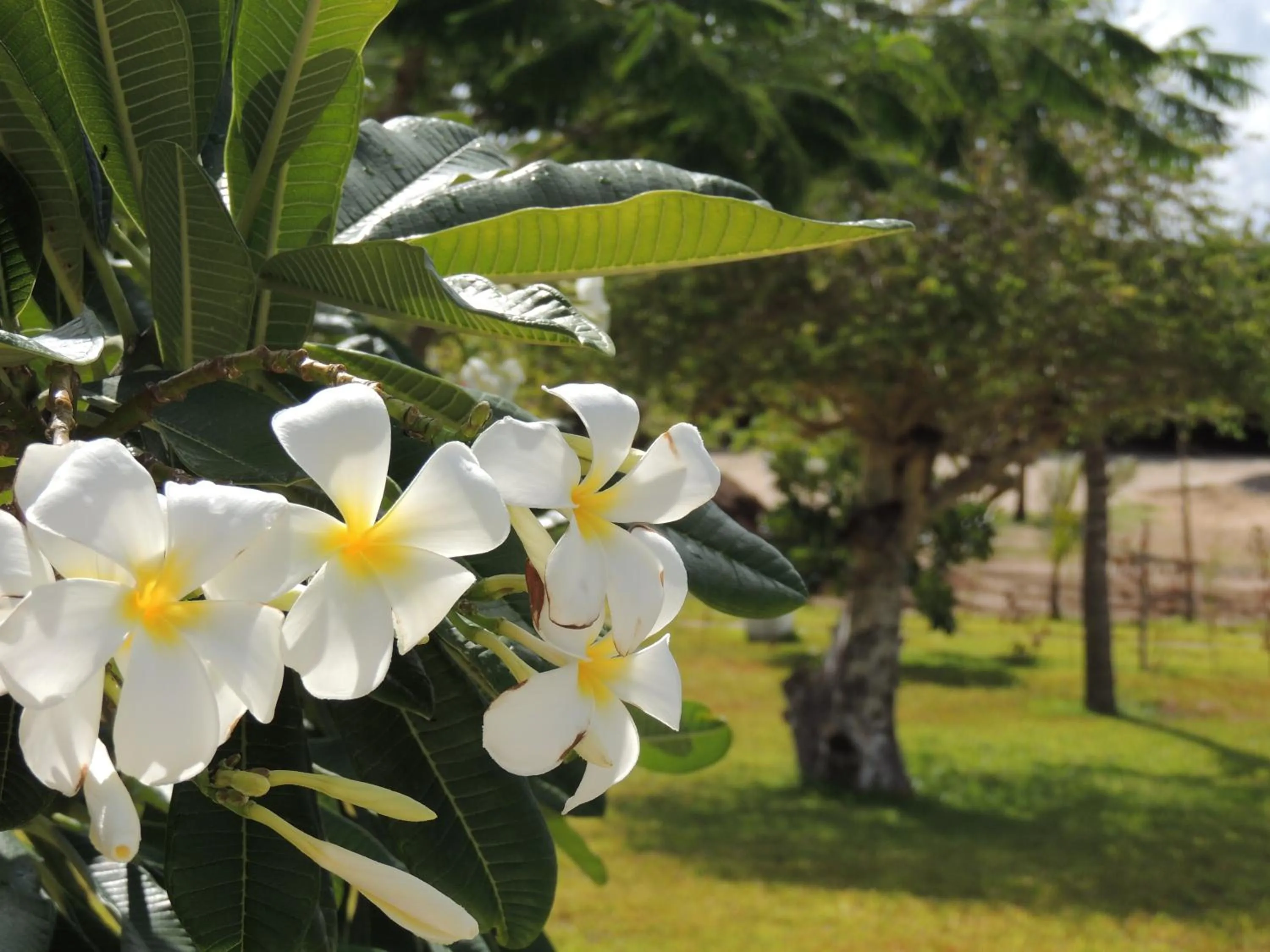 Other in The Kasa Malindi