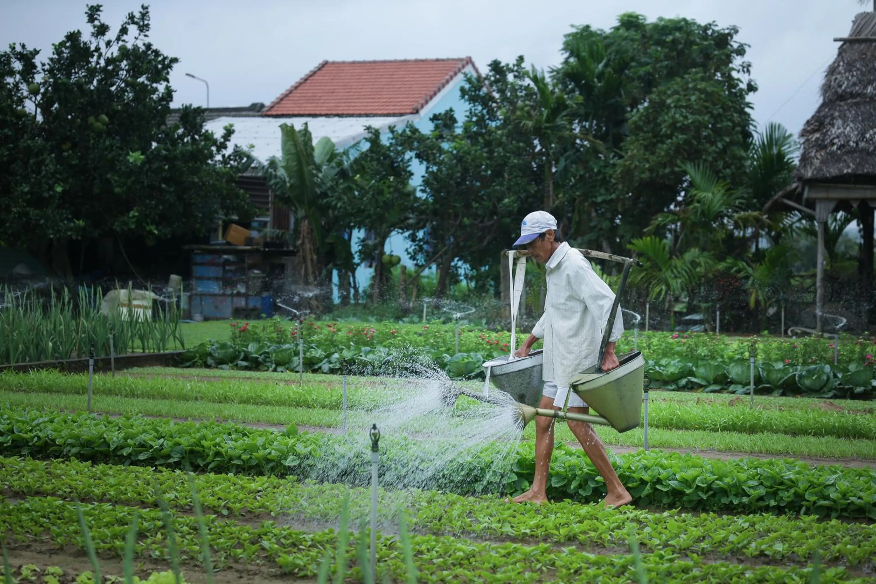 Garden view in Chez Xuân ở Hội An - Rooms & more
