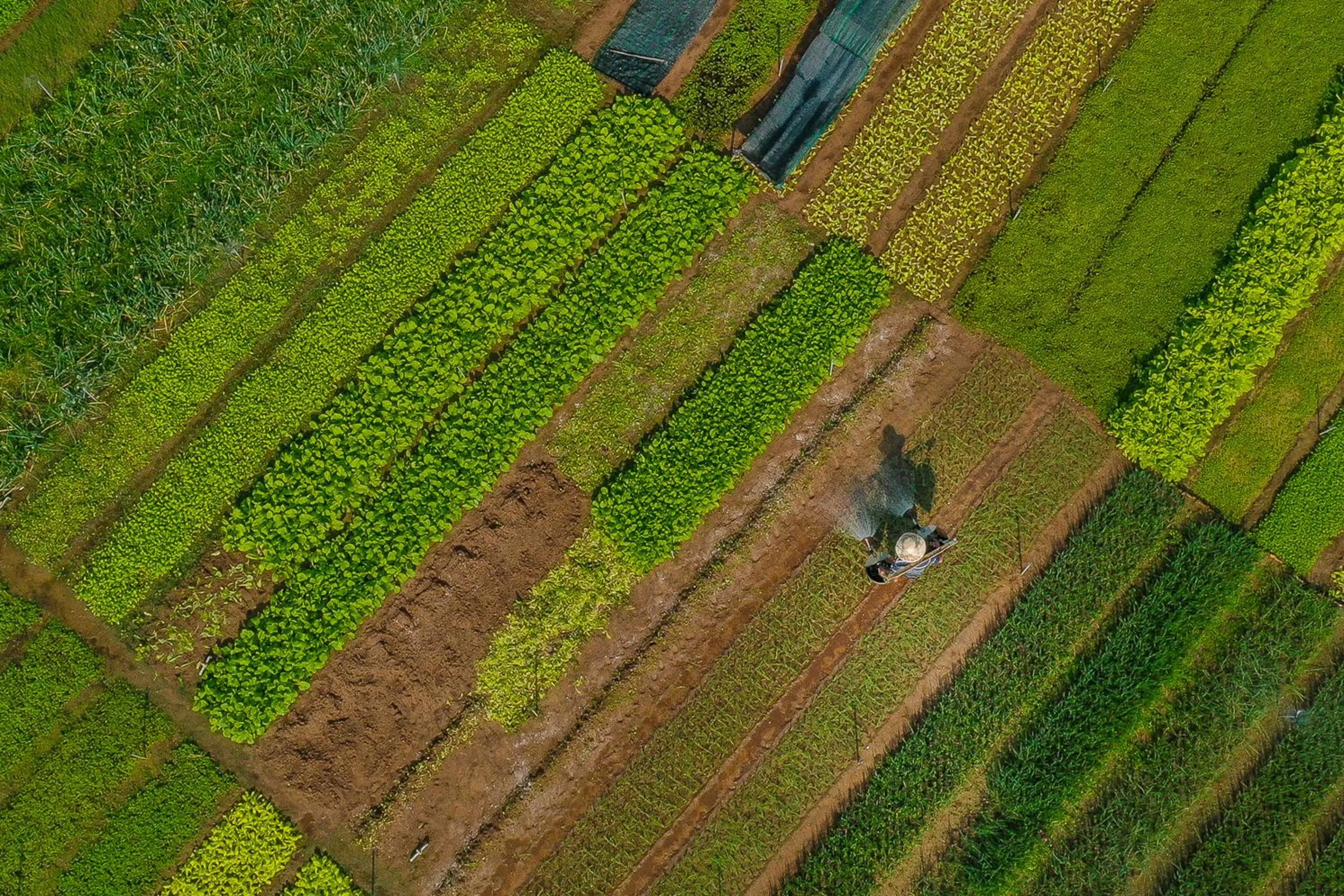 Garden view in Chez Xuân ở Hội An - Rooms & more