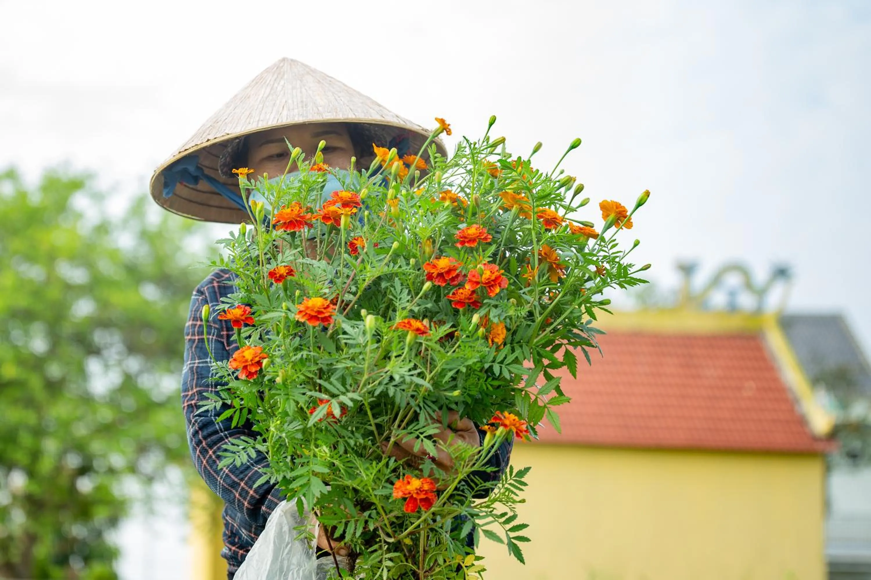 People in Chez Xuân ở Hội An - Rooms & more