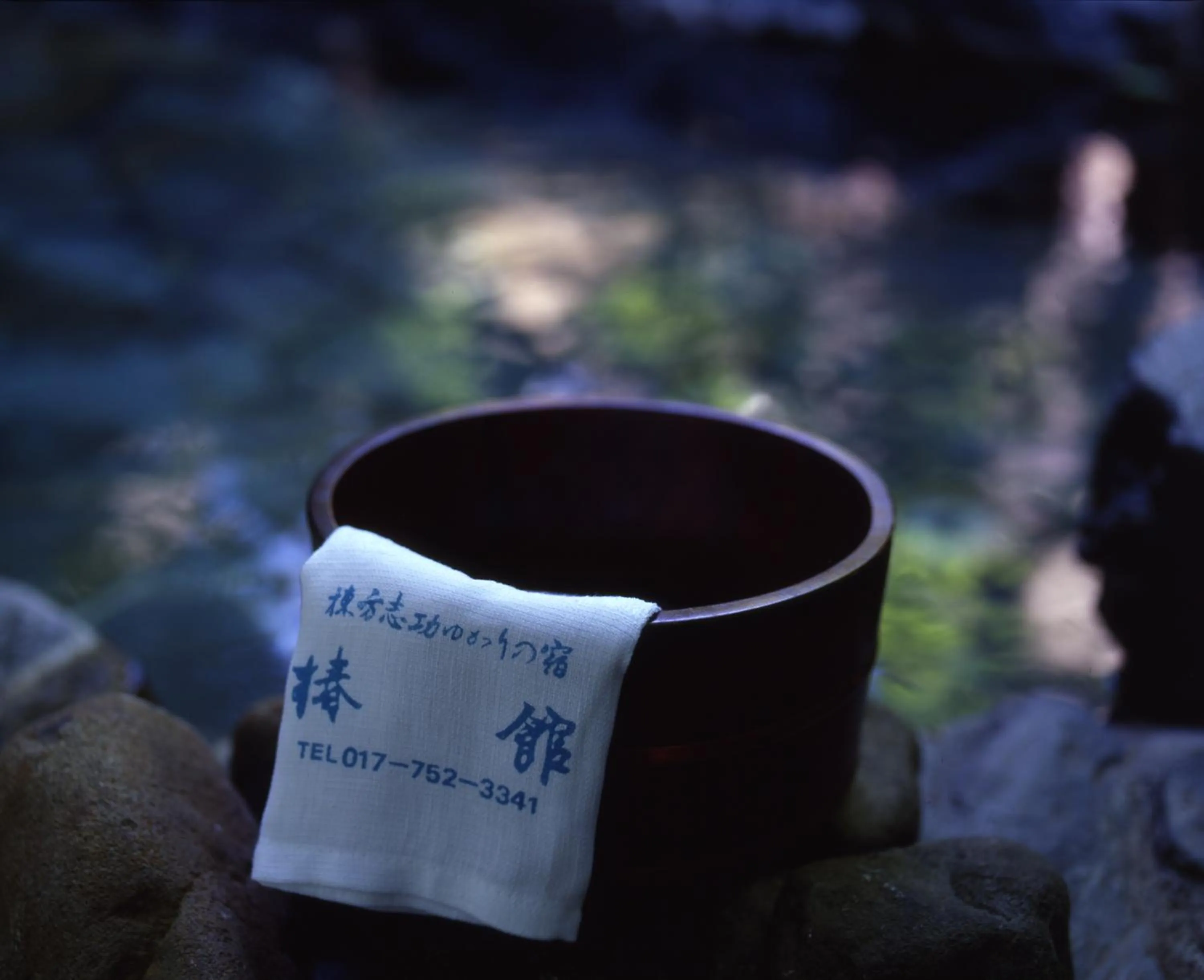 Hot Spring Bath in Tsubakikan