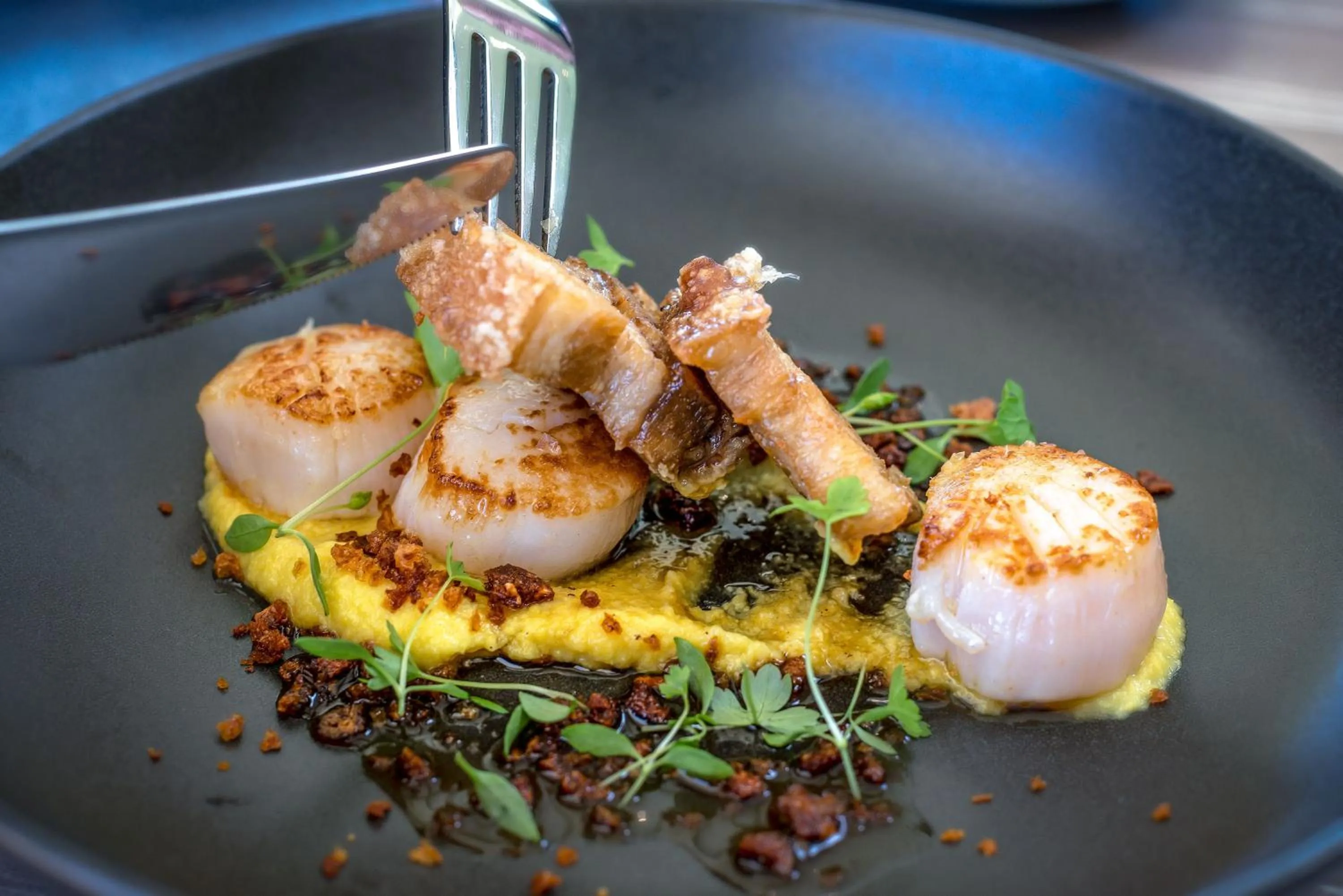 Restaurant/places to eat in Lithgow Workies Club Motel