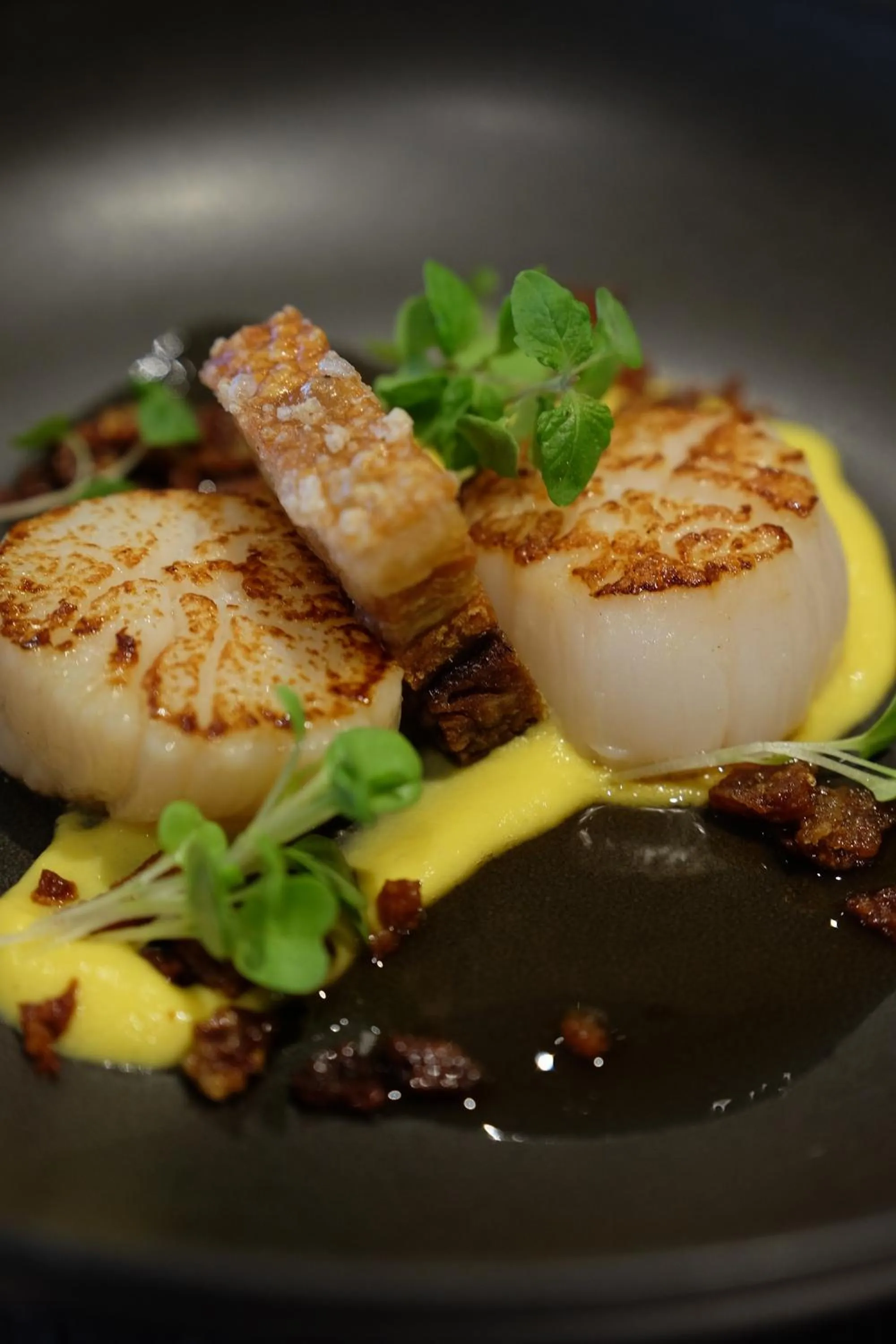 Restaurant/places to eat in Lithgow Workies Club Motel