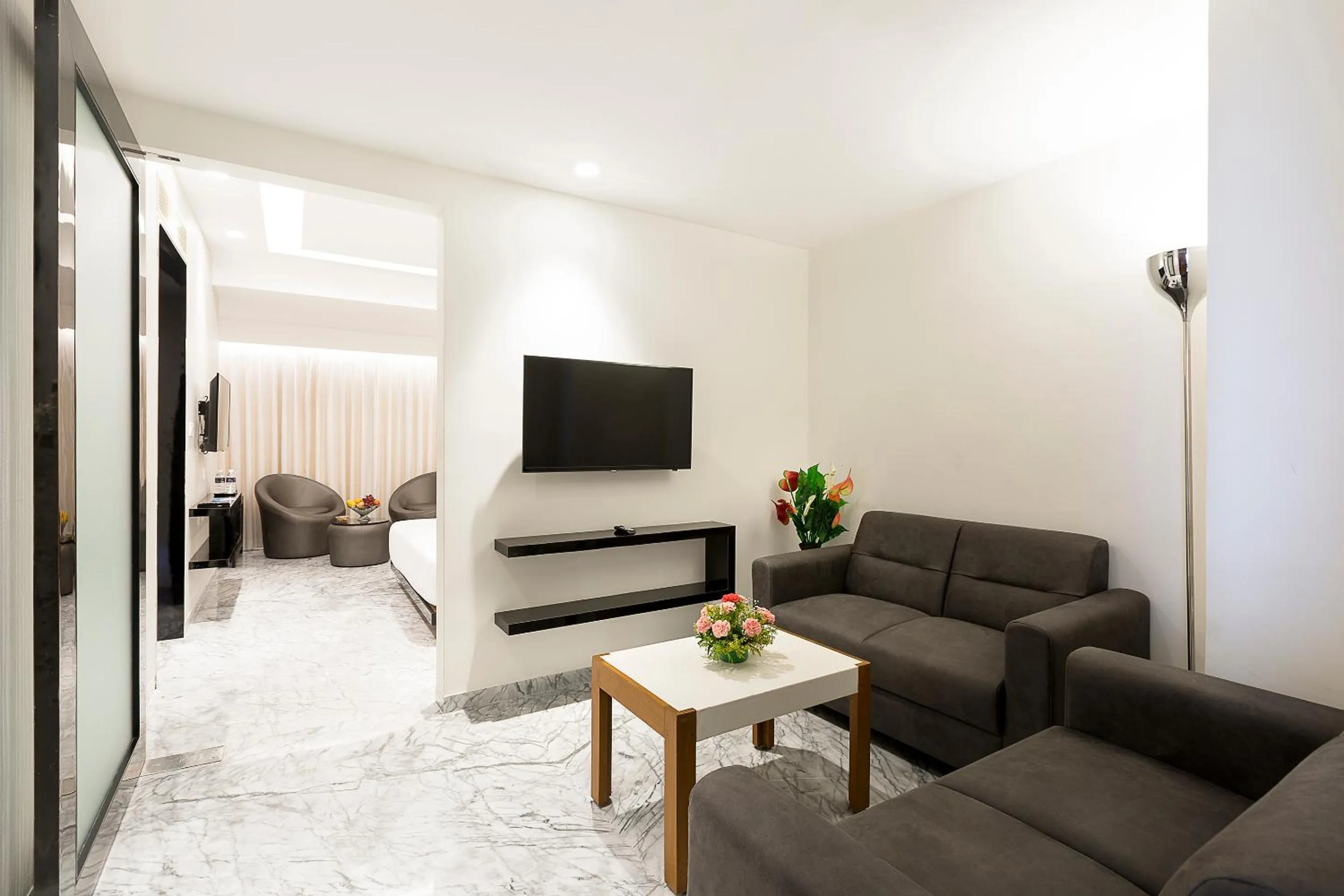 Living room, Bed in CJ Pallazzio,Salem