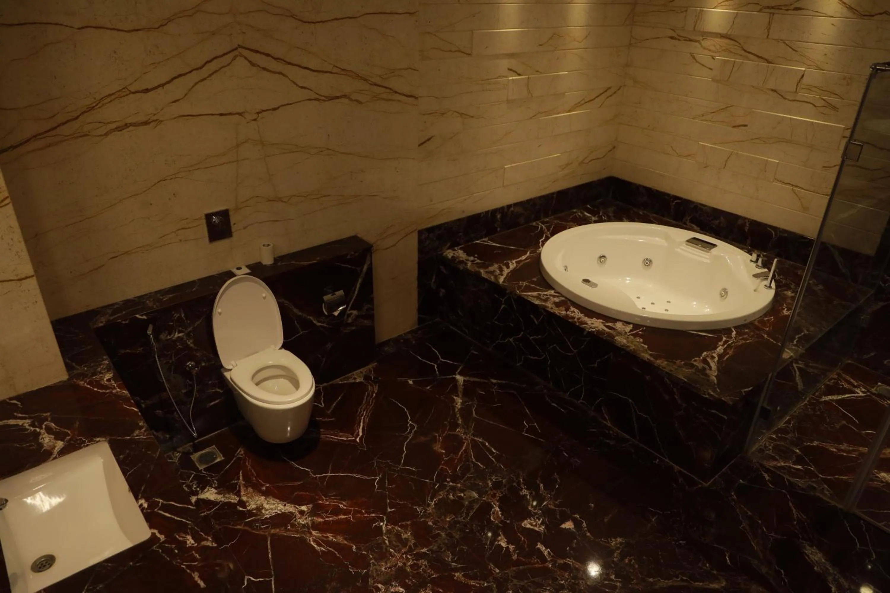 Toilet in CJ Pallazzio,Salem