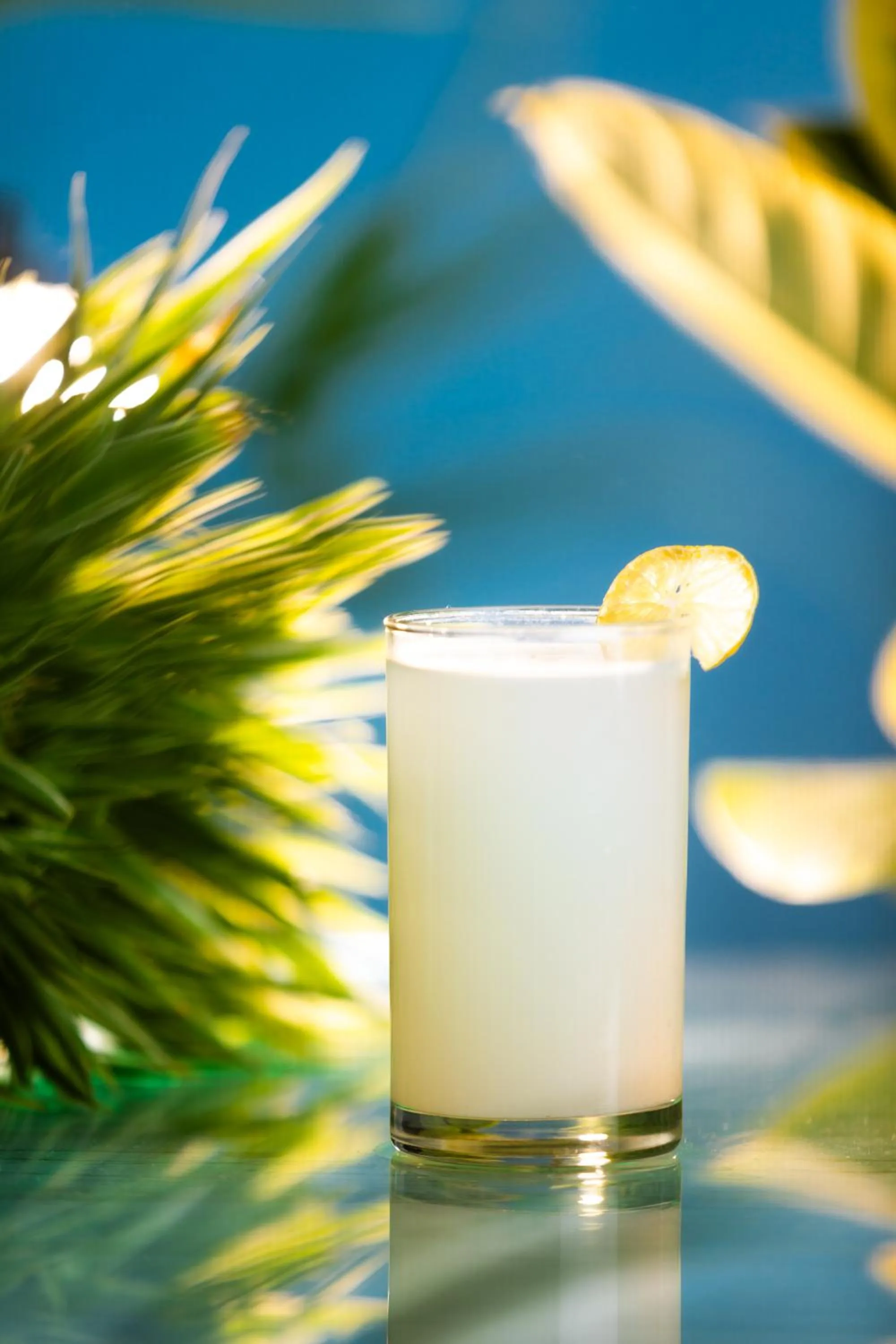 Drinks in CJ Pallazzio,Salem