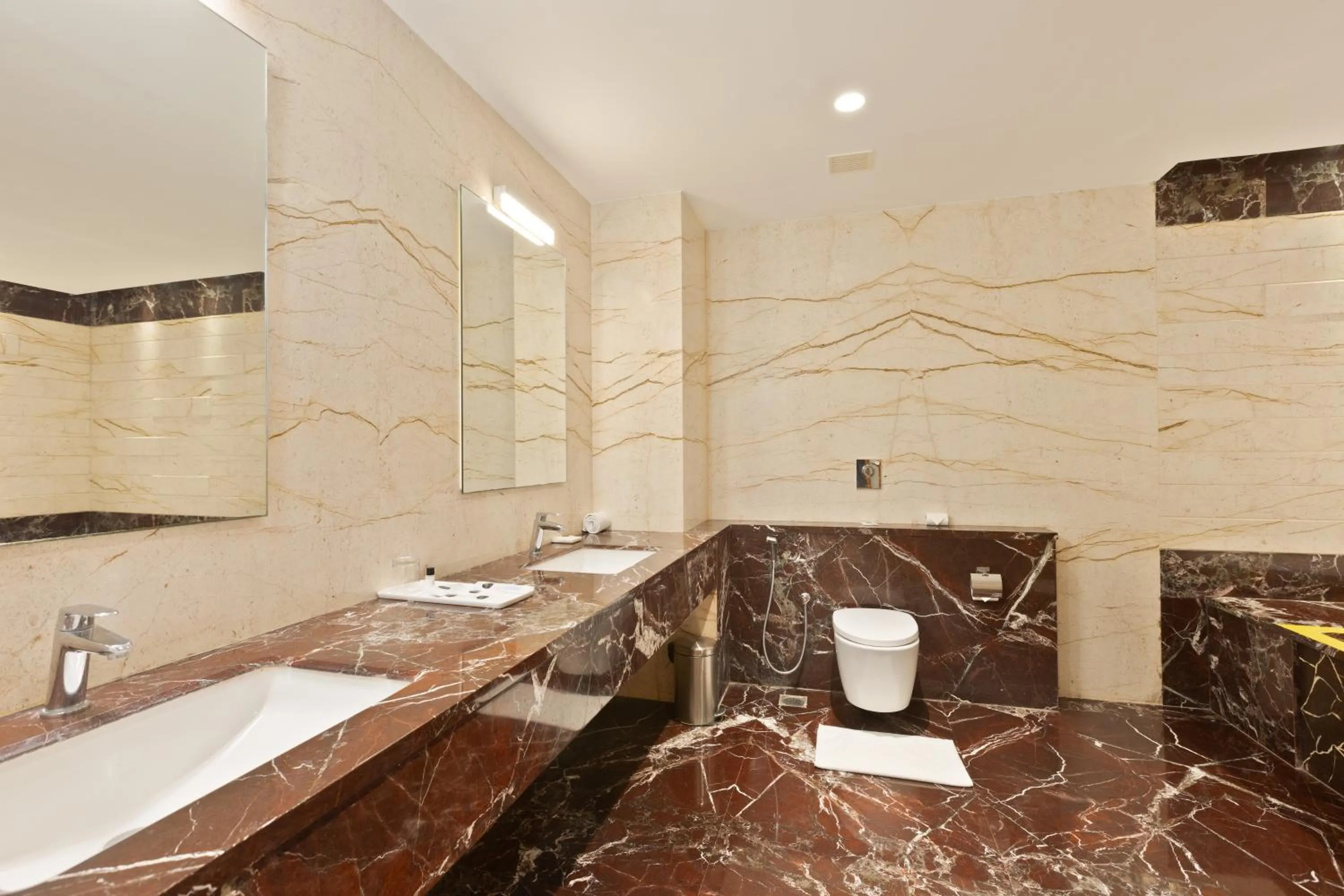 Toilet in CJ Pallazzio,Salem