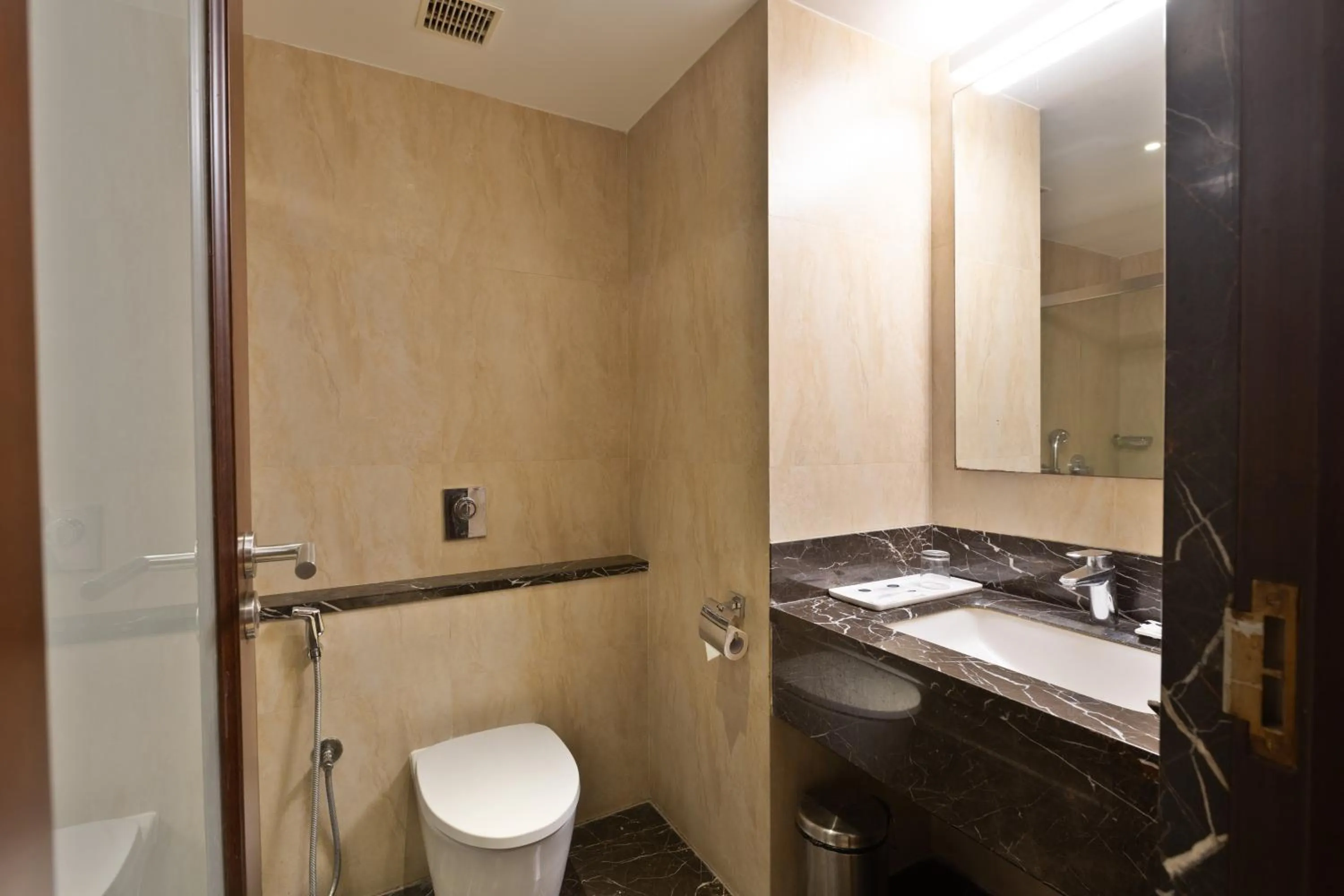 Toilet in CJ Pallazzio,Salem