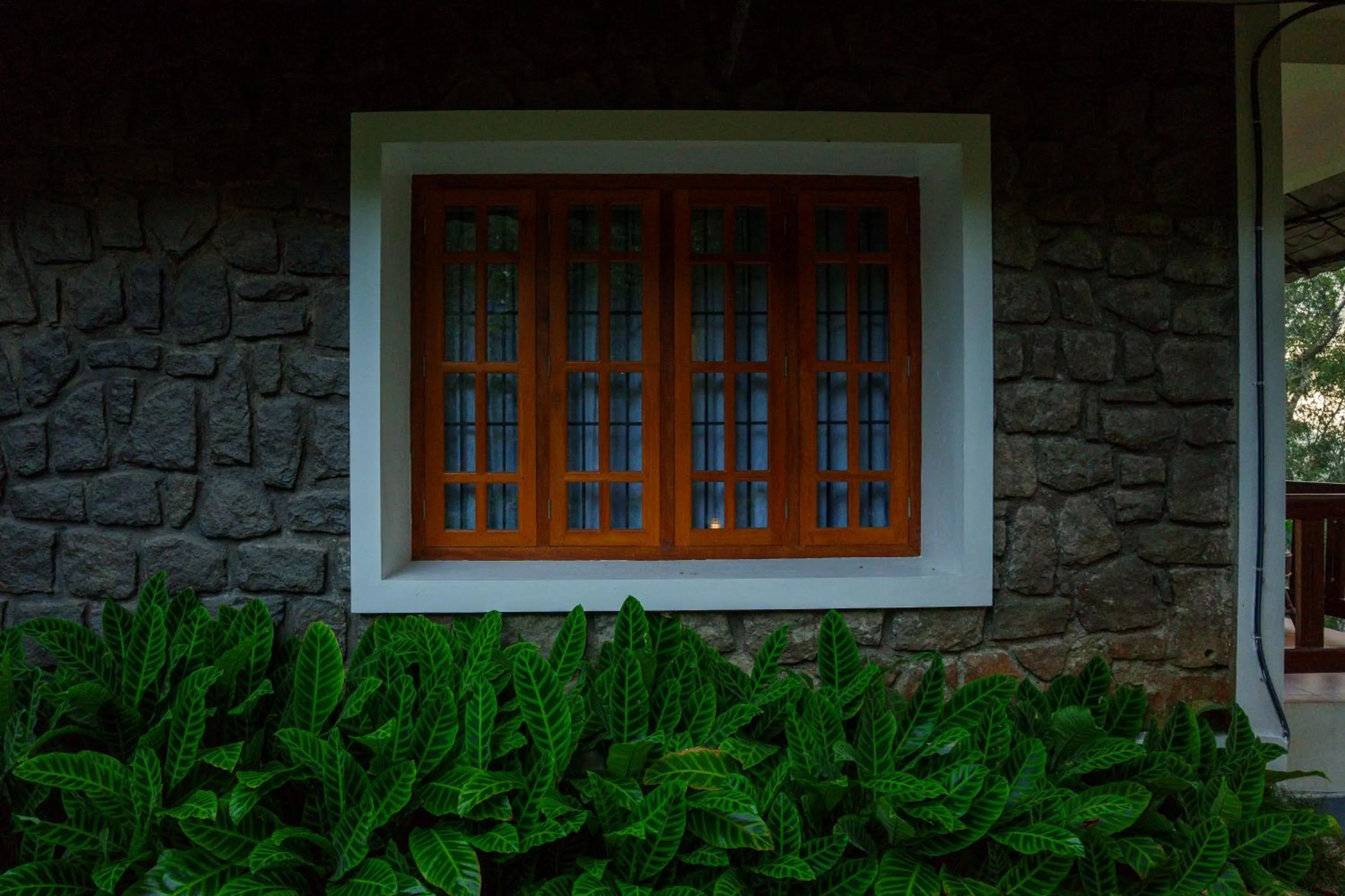 Bracknell Forest Munnar