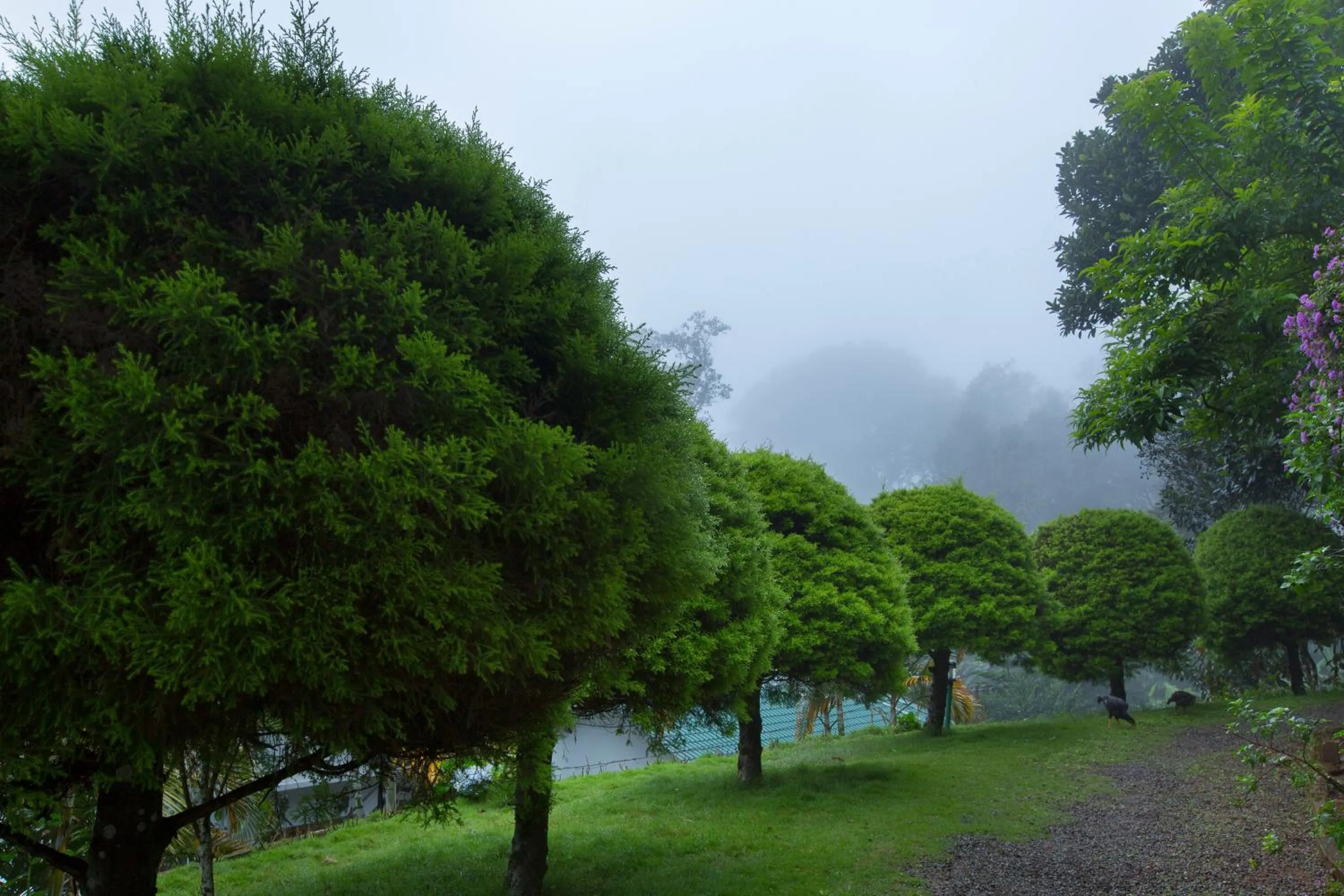 Bracknell Forest Munnar