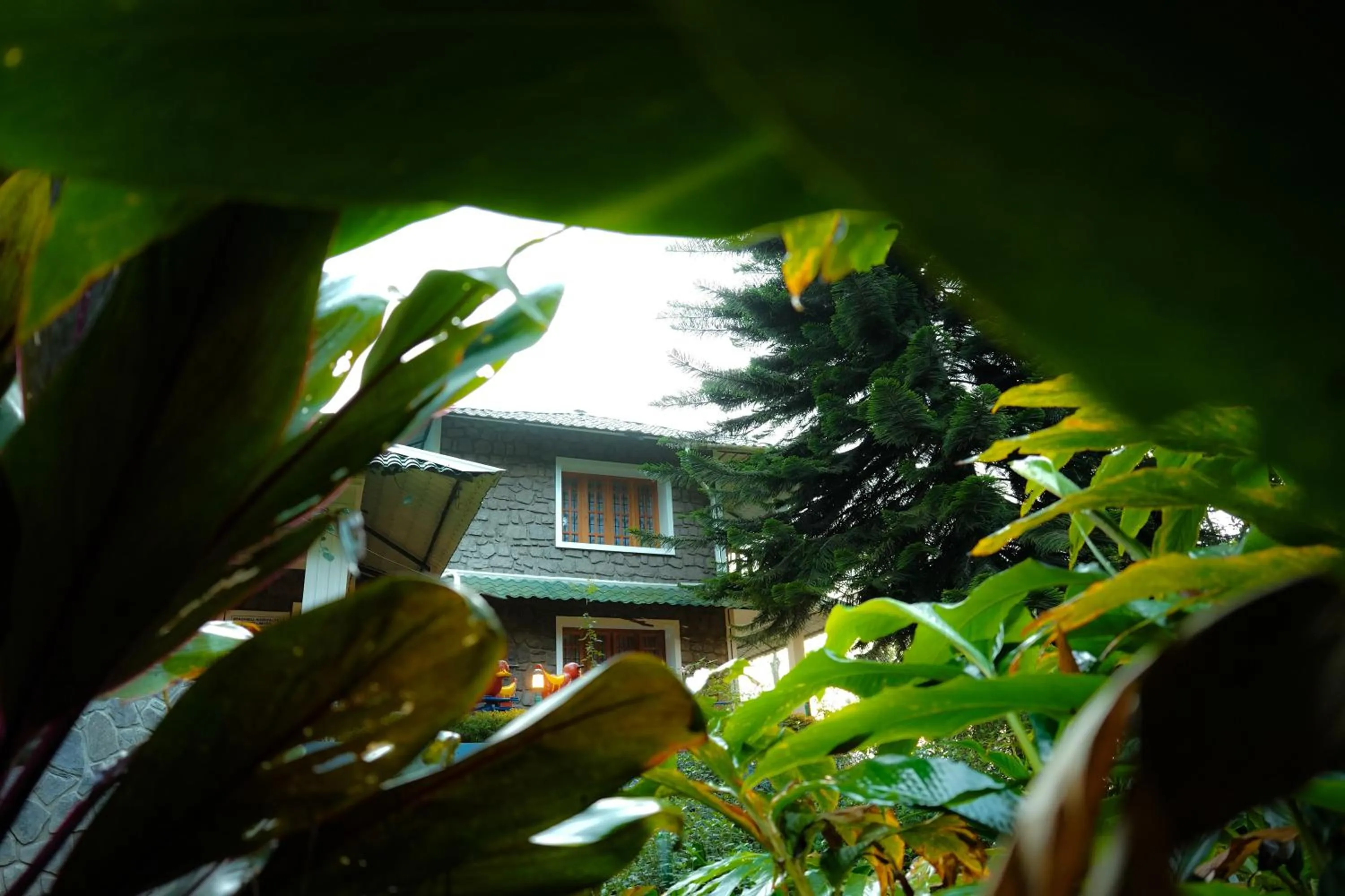 Bracknell Forest Munnar