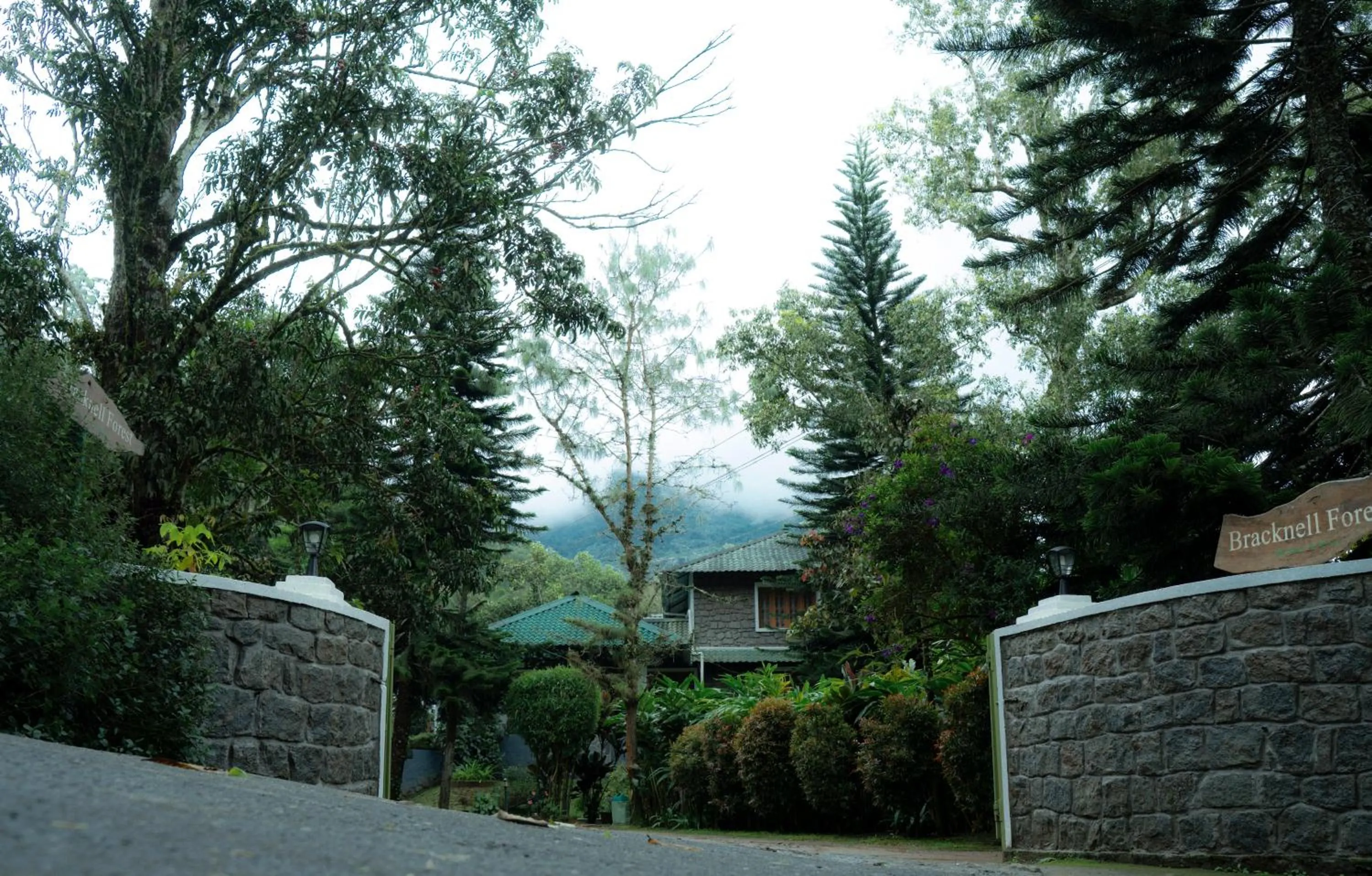 Bracknell Forest Munnar