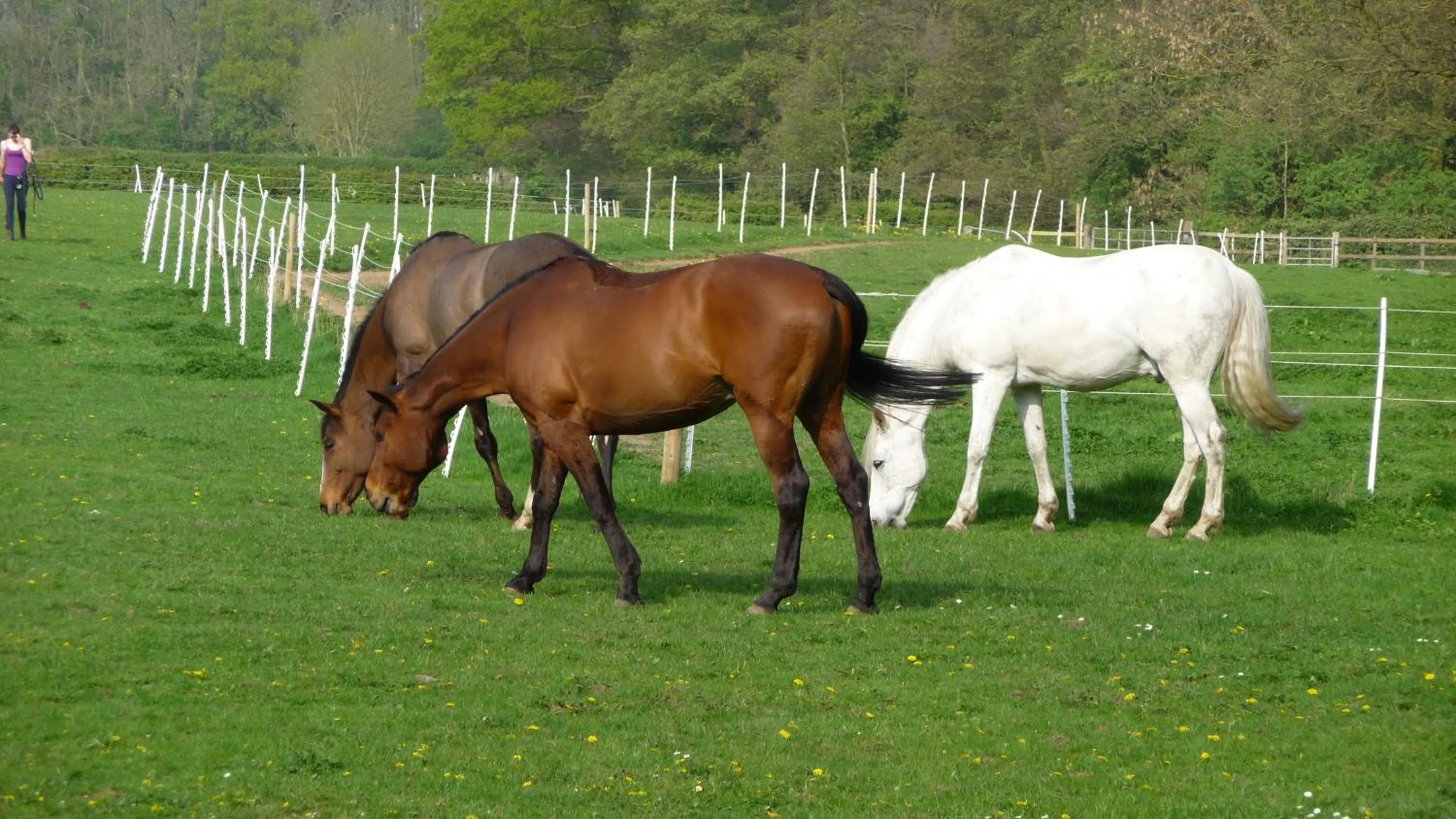 Natural landscape in Keepers Lodge