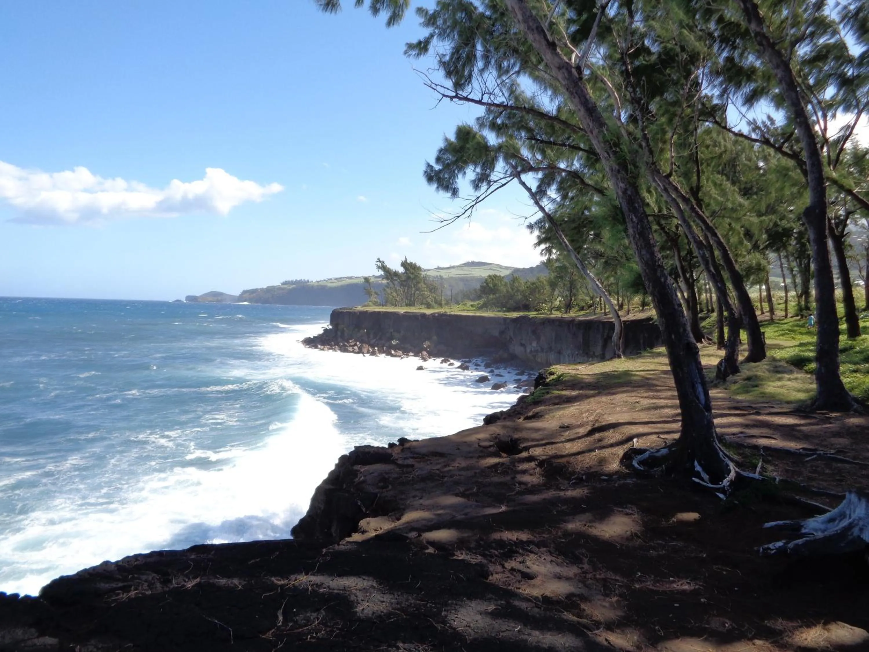 Nearby landmark in L'Arbre de Vie