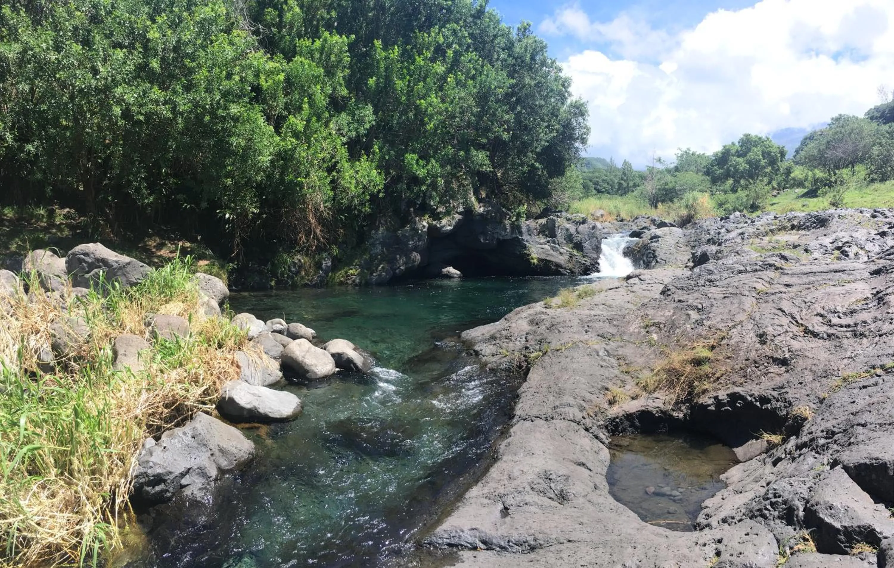 Nearby landmark in L'Arbre de Vie