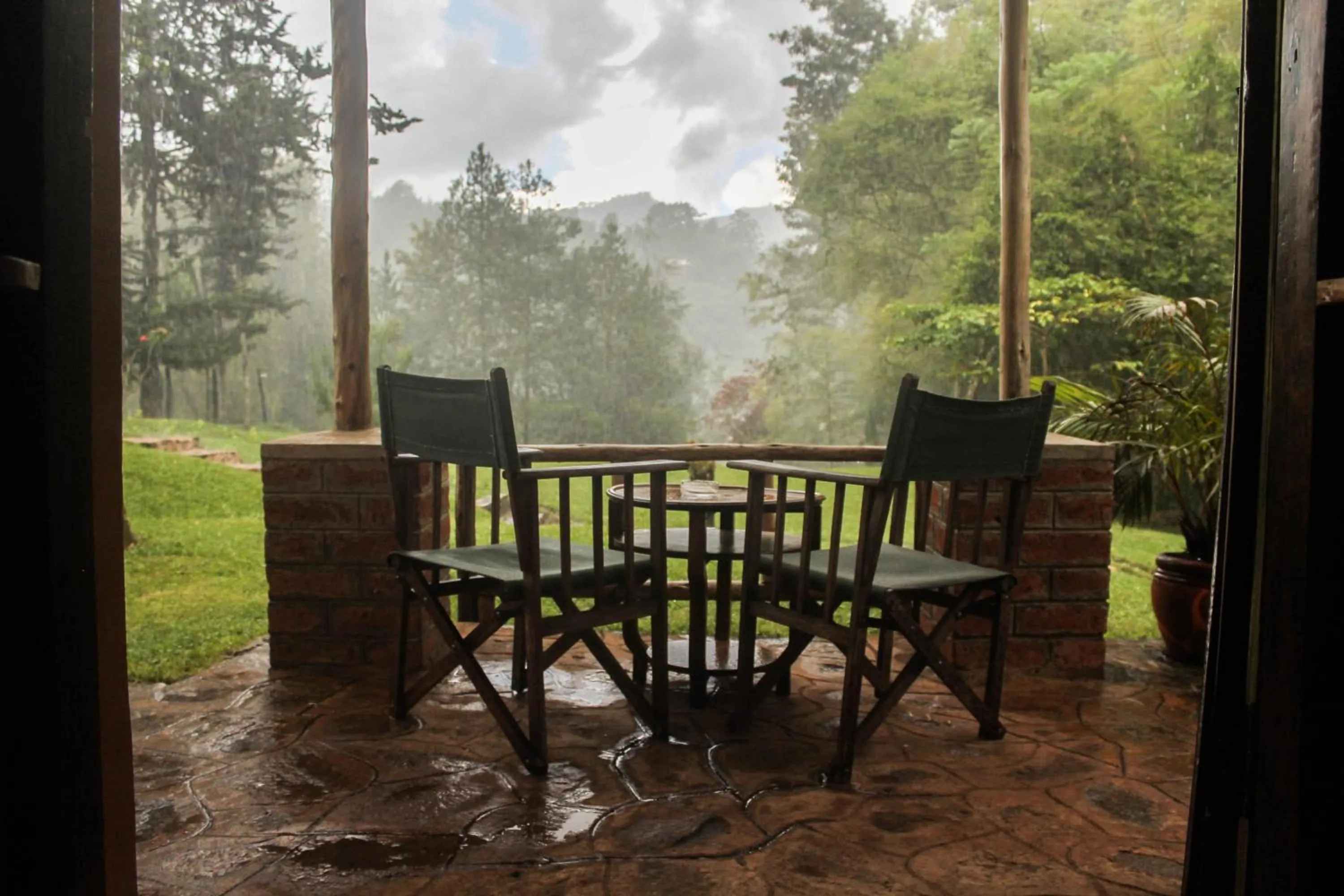 Garden in Lawns Hotel