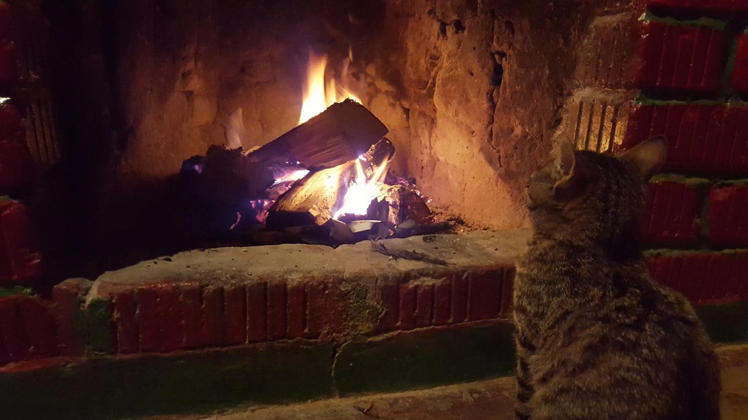 Property building in Lawns Hotel