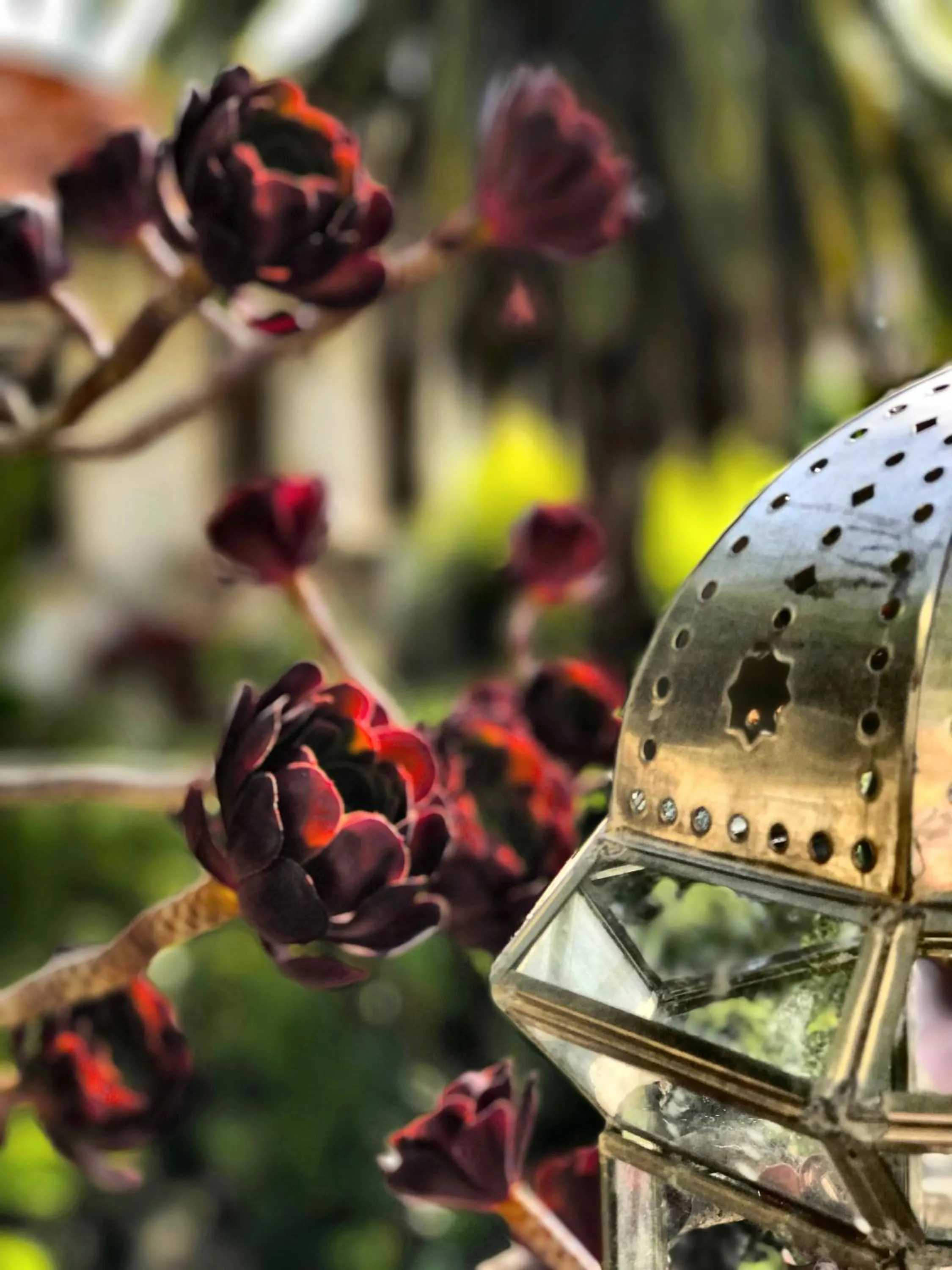 Garden in B&B Villa Du Roc Fleuri